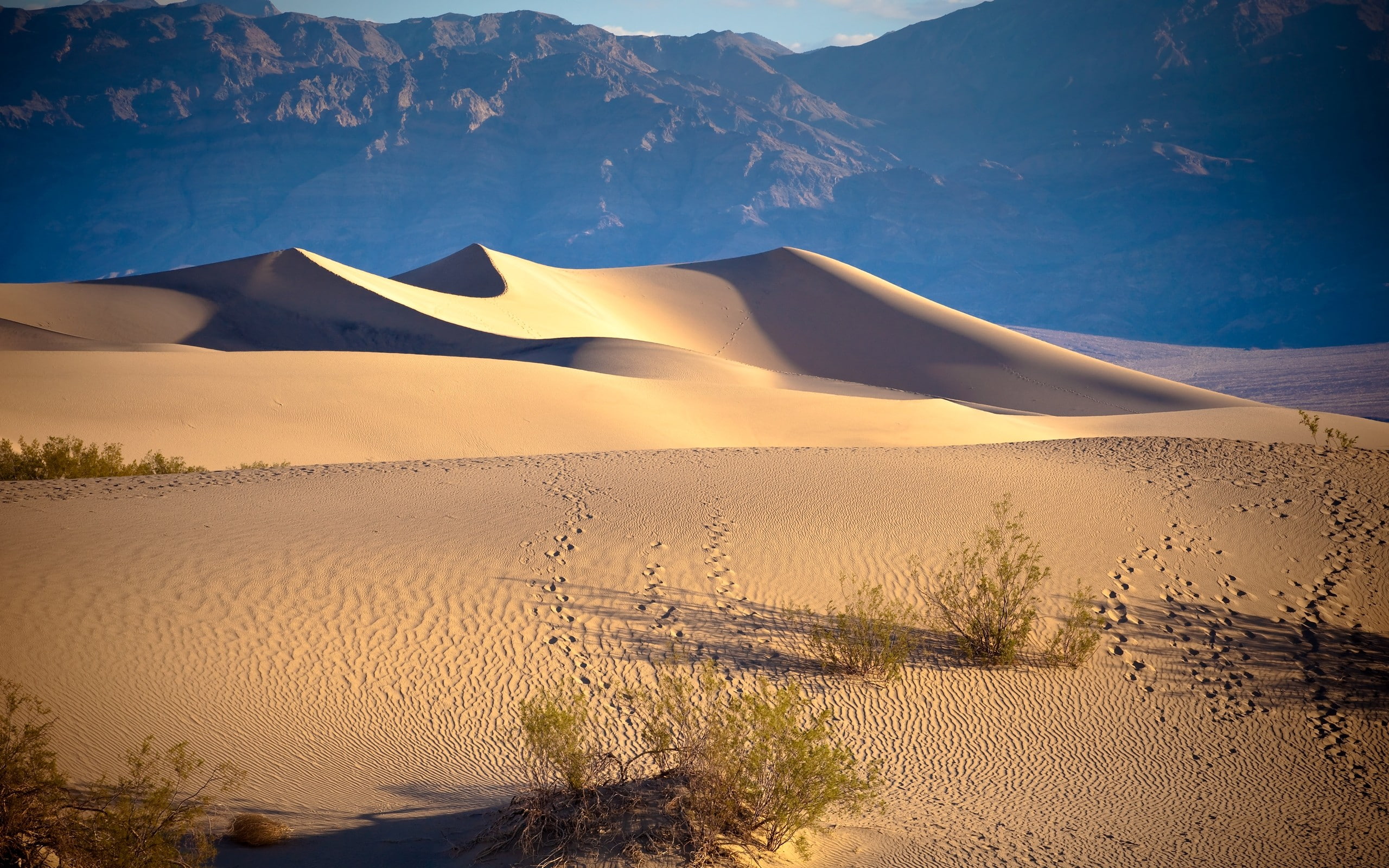 2K, desert, hd, nature, footprints, HD Wallpaper