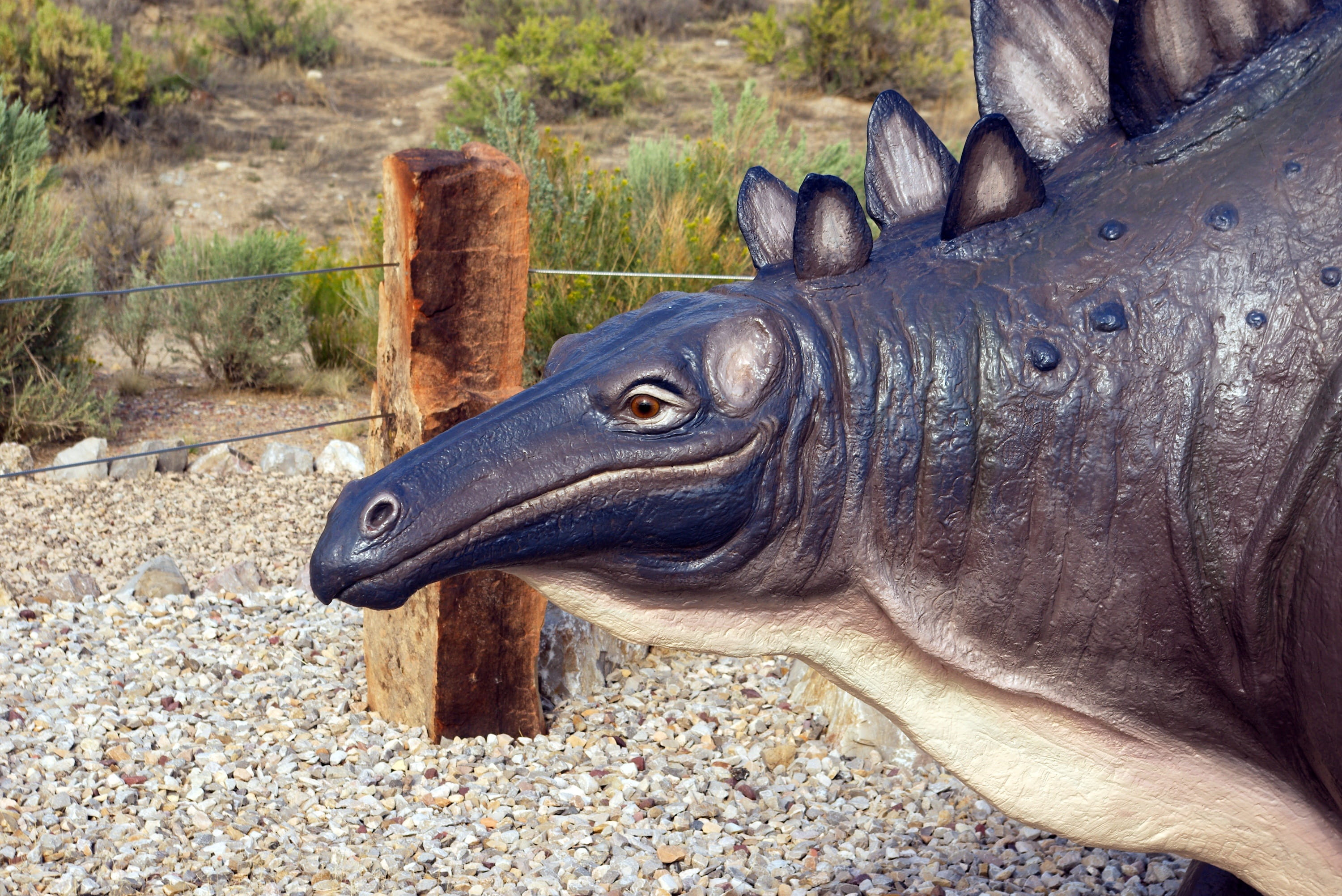 prehistoric, animal head, evolution, utah, animals in the wild, thyreophoran, tree, animal, outdoors, profile view, monument, dino, focus on foreground, HD Wallpaper