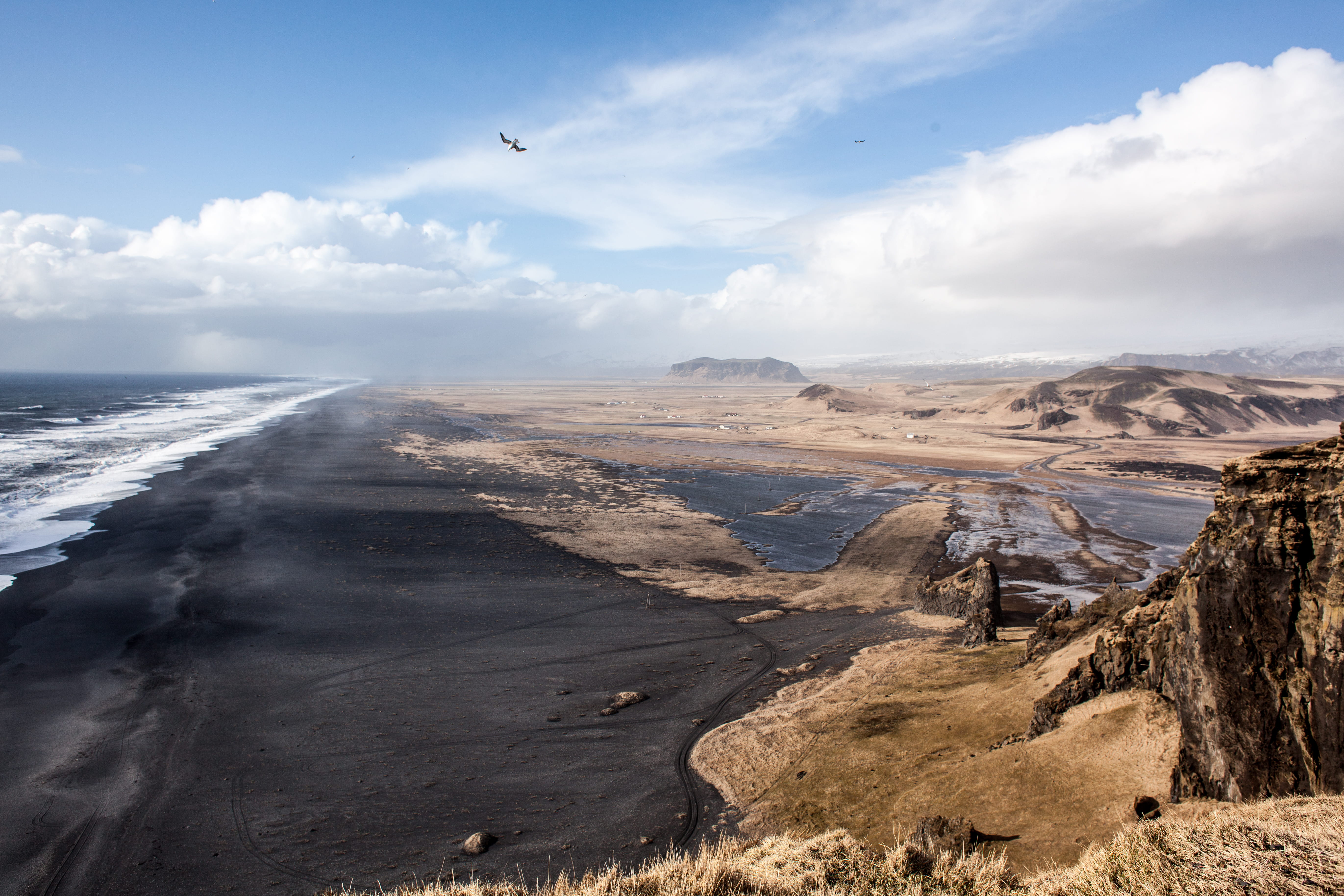 black sand, landscape, dyrhólaey, animal, mountain, animal themes, iceland, seascape, tranquility, arid climate, cloud - sky, no people, land, high, ísland, HD Wallpaper