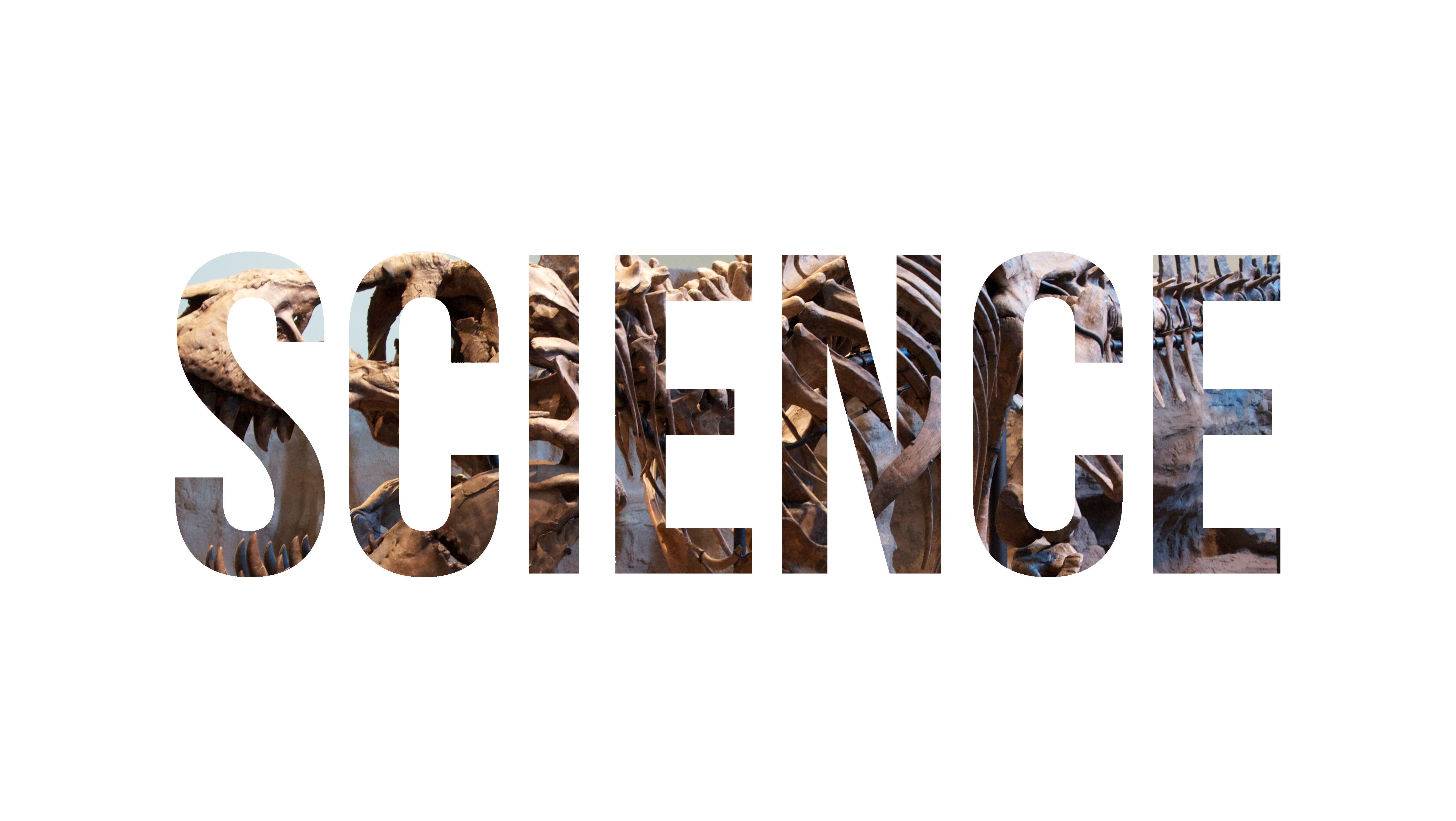 communication, still life, science, nature, typography, copy space, arrangement, capital letter, text, single word, creativity, script, letter, dinosaurs, HD Wallpaper