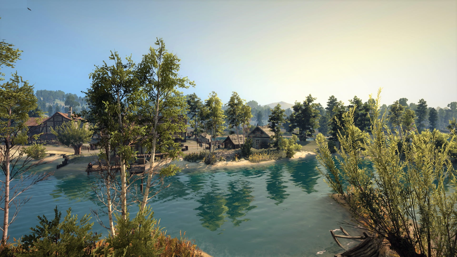 beauty in nature, sky, coniferous tree, villages, The Witcher, water, 1080P, trees, outskirts, tranquil scene, plant, non-urban scene, pine tree, lake, HD Wallpaper