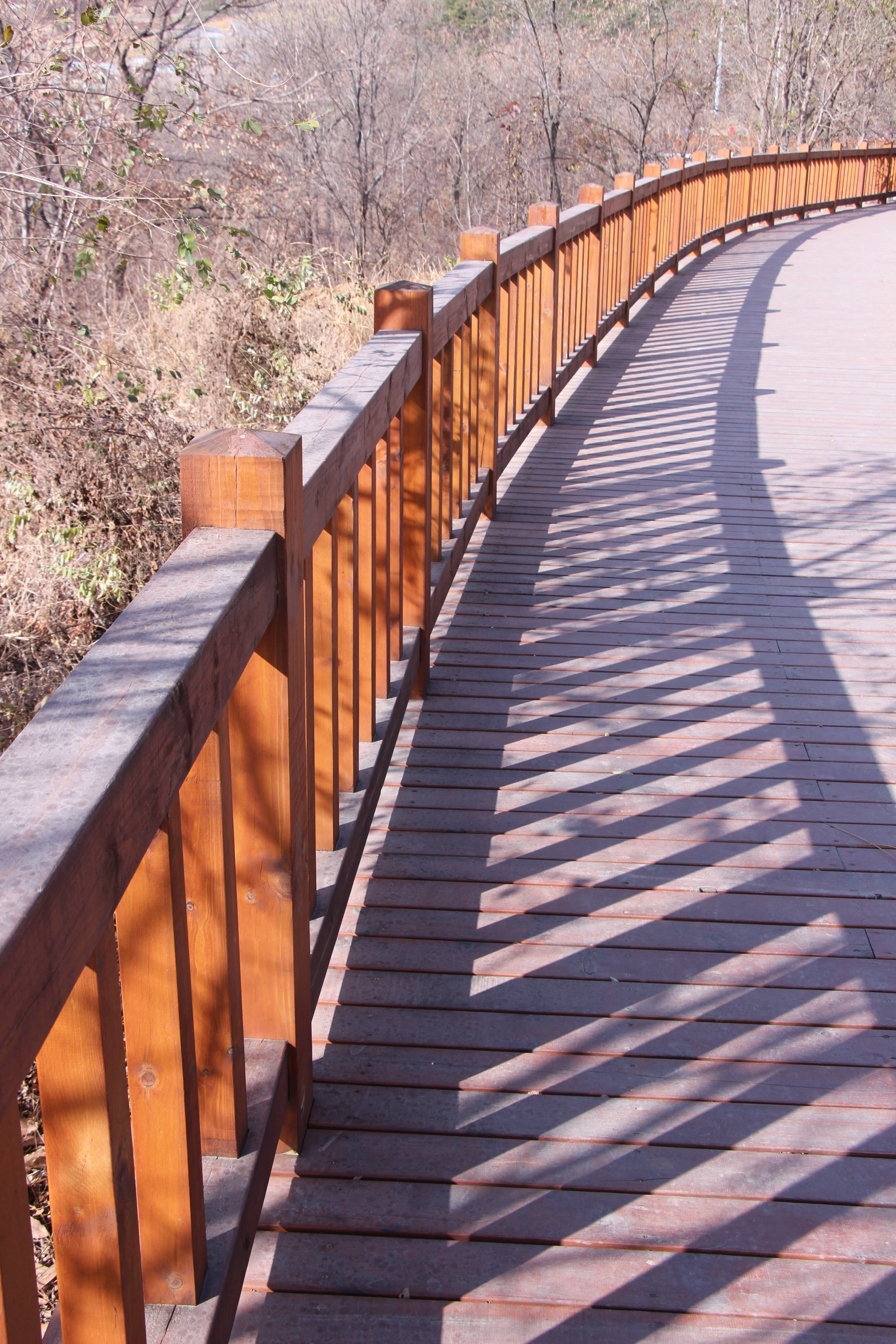 wood paneling, dalian west hill reservoir, direction, footbridge, shadow, autumn on the outskirts, diminishing perspective, outdoors, empty, the boardwalk, Phone HD Wallpaper