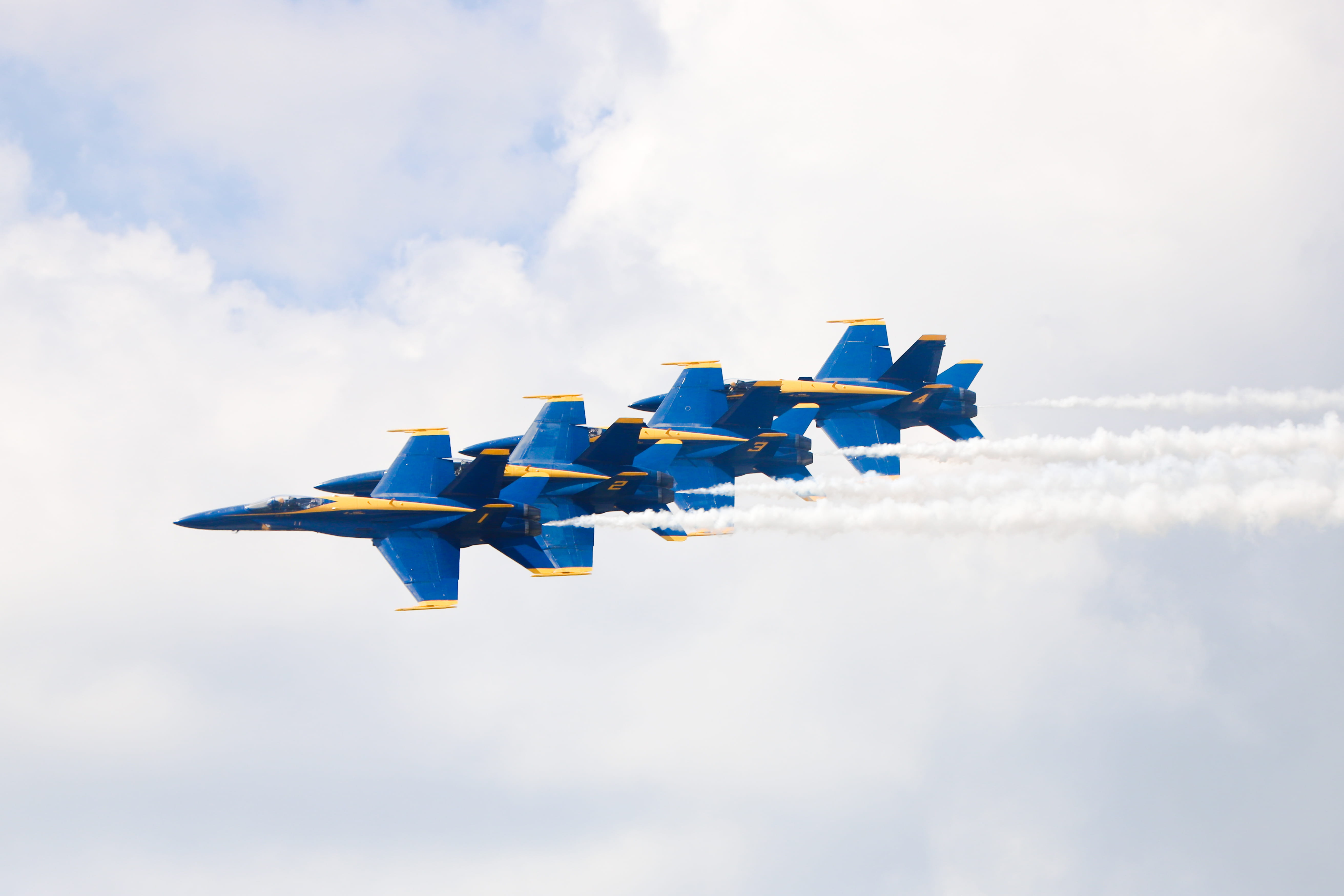 5K, fighter plane, daytime, airliner, airplane, motion, aerobatics, air vehicle, flying, no people, nature, day, building, airshow, animal, seagull, vehicle, HD Wallpaper