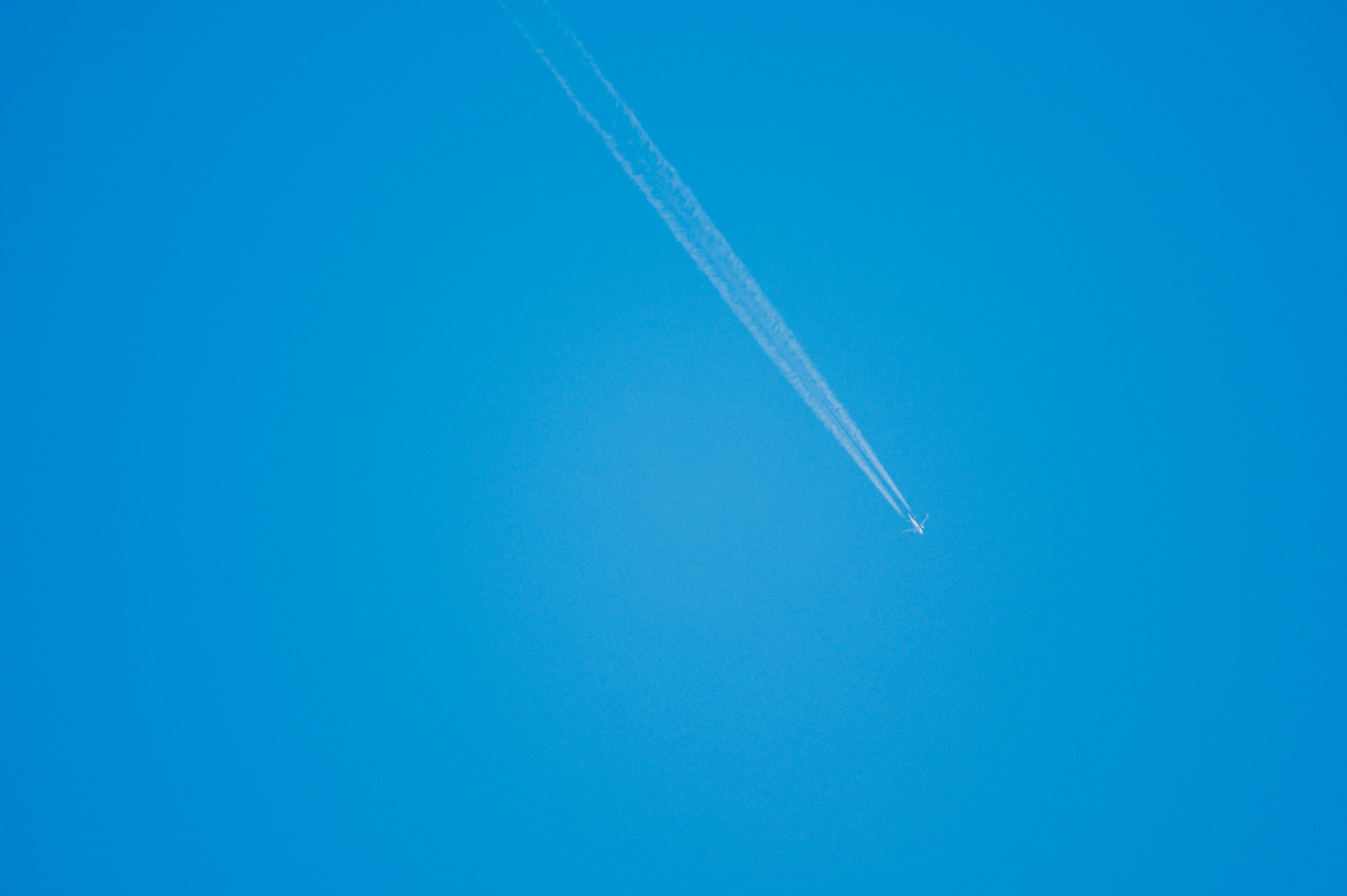 outdoors, animal, flare, light, aerobatics, launch, adventure, low angle view, vapor trail, nature, airplane, flying, no people, leisure activities, vehicle, HD Wallpaper