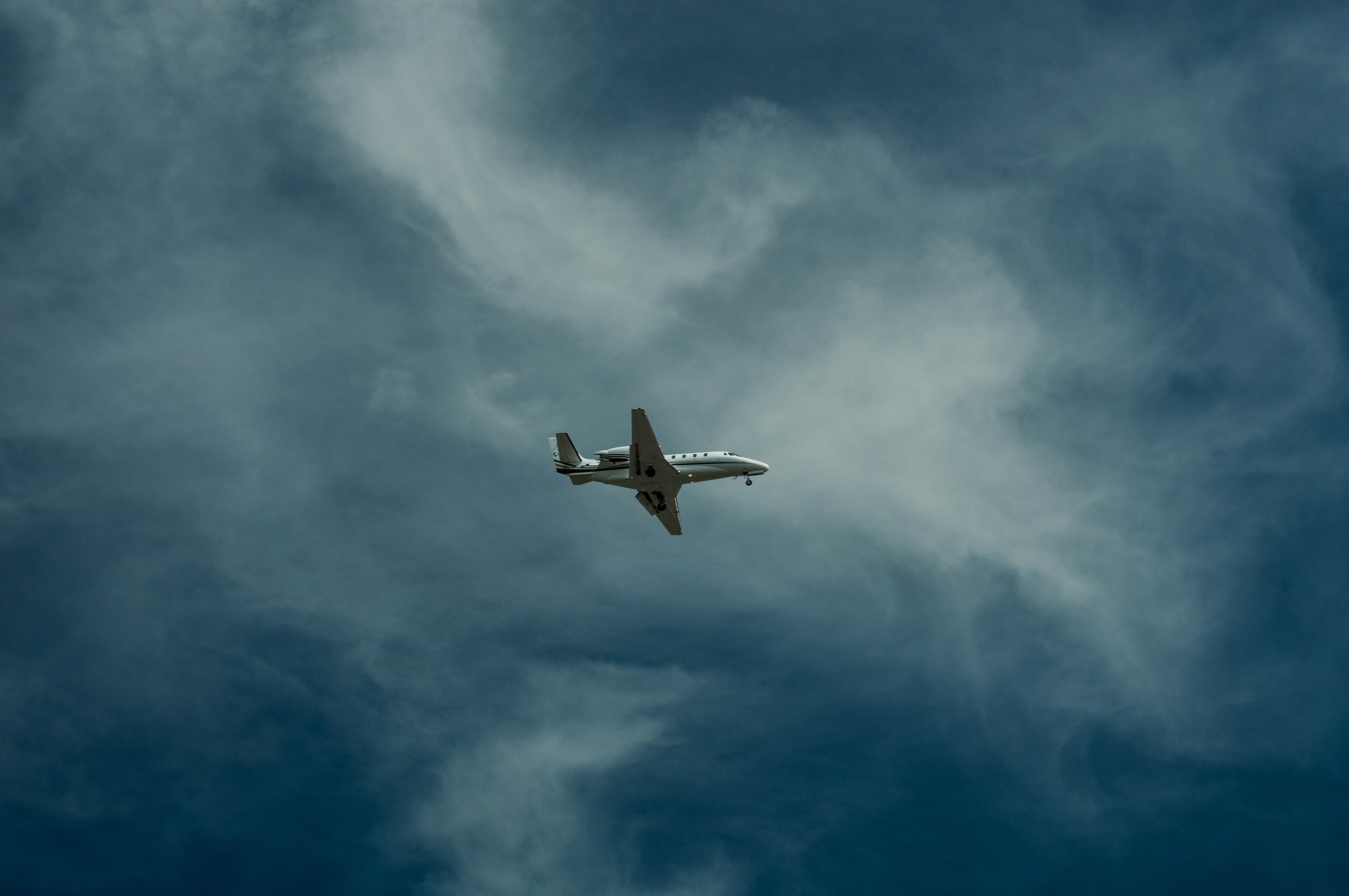 speed, seagull, animals in the wild, one animal, no people, travel, vertebrate, business, directly below, flying, spread wings, sky, airliner, flight, vacations, HD Wallpaper