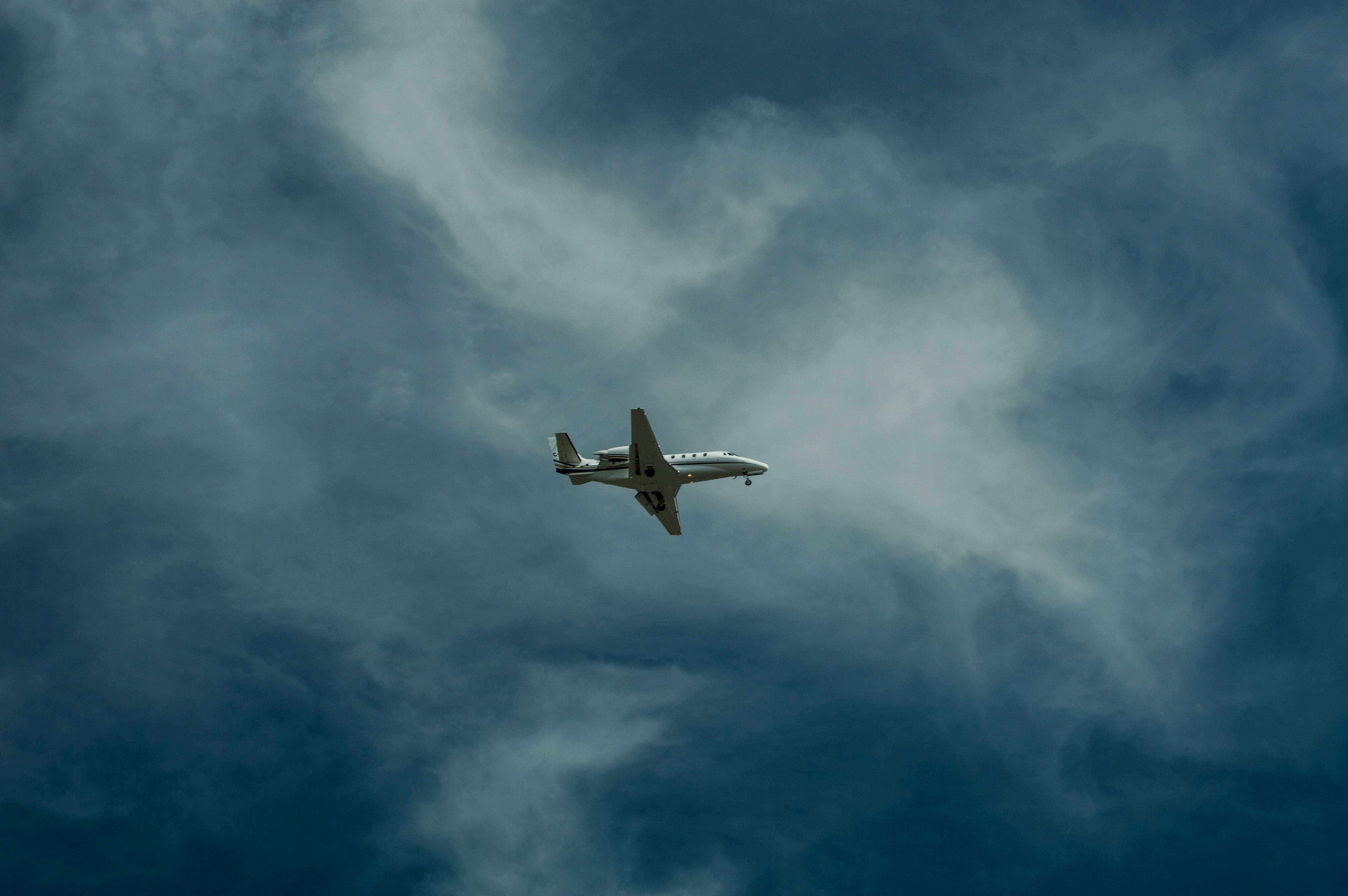 plane, airplane, animals in the wild, mid-air, cloud - Sky, low, nature, vertebrate, spread wings, air, cloudscape, seagull, one animal, low angle, mode of Transport, HD Wallpaper