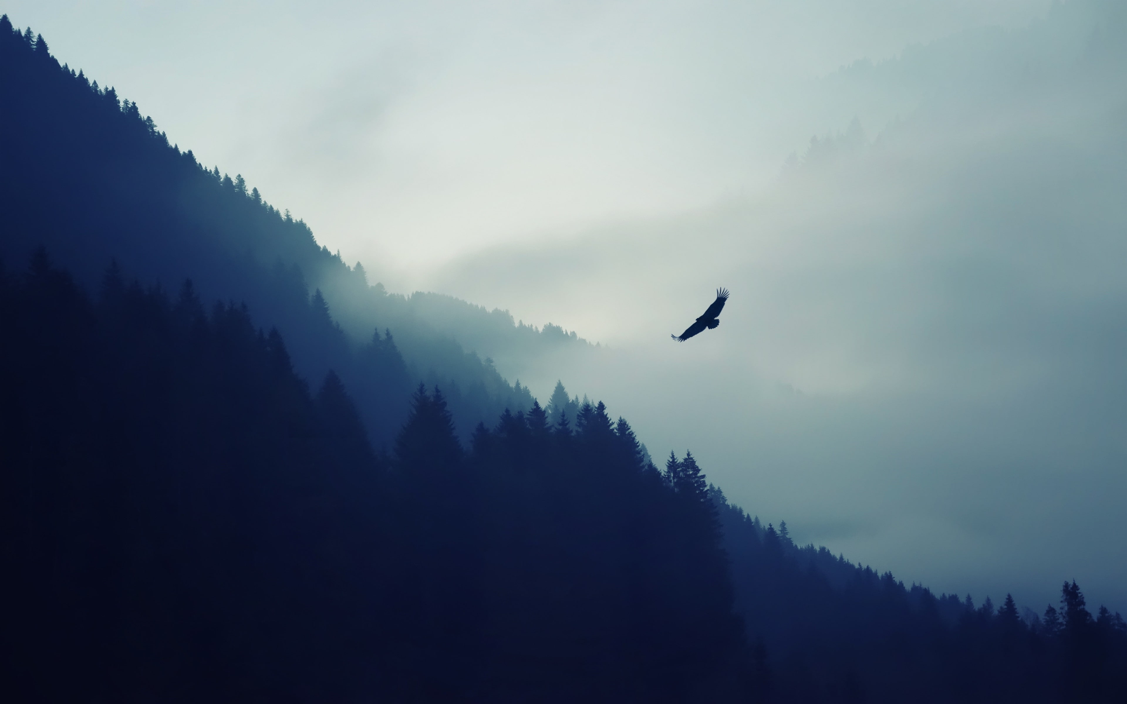 nature, flying, eagle, birds, mist, forest, mountains, trees, blue, animals, landscape, artwork, 4K, HD Wallpaper