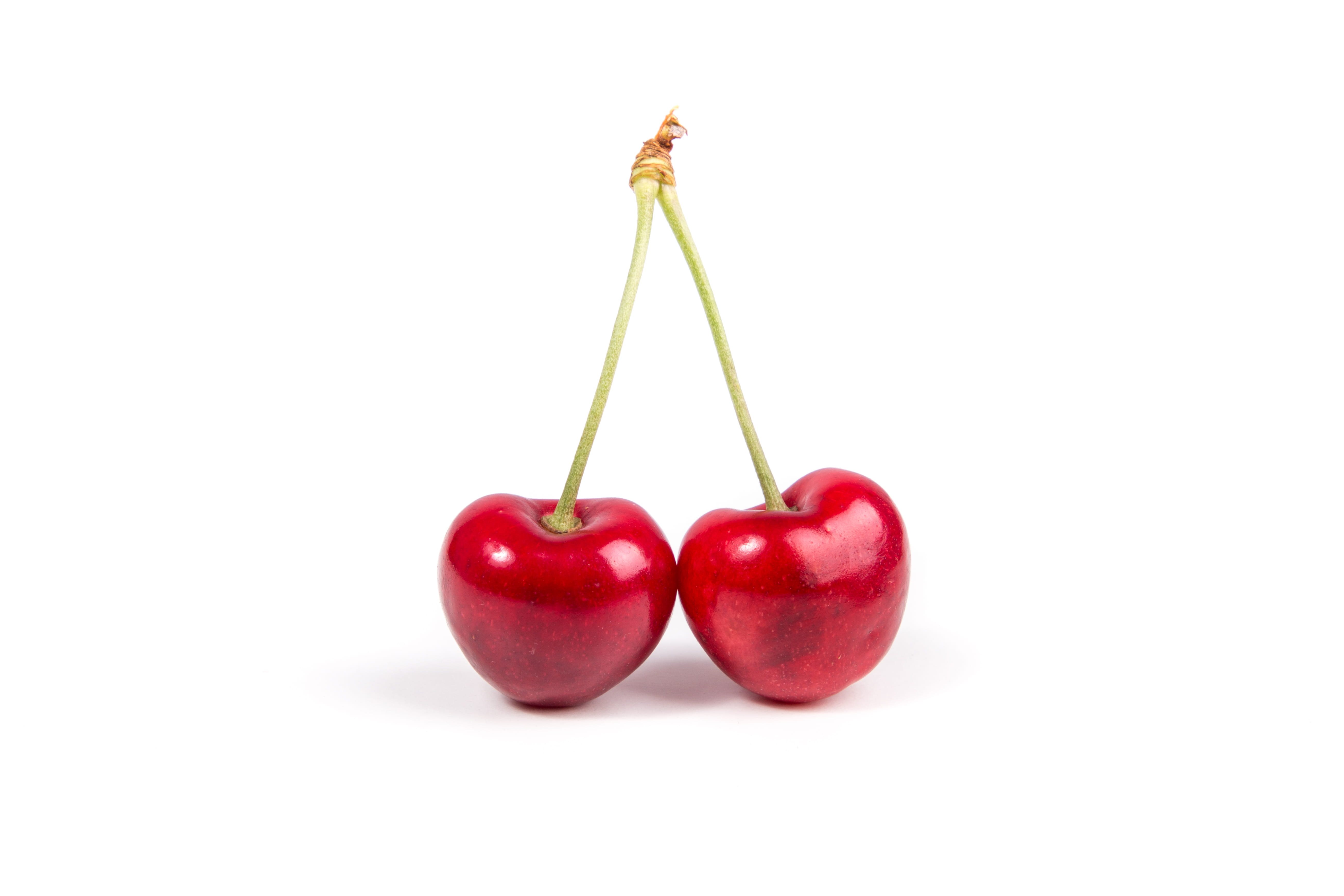 produce, dieting, shiny, fresh, plant stem, eating, cut out, two objects, ripe, close-up, cherry, bright, studio shot, indoors, studio, copy space, flashphotography, HD Wallpaper