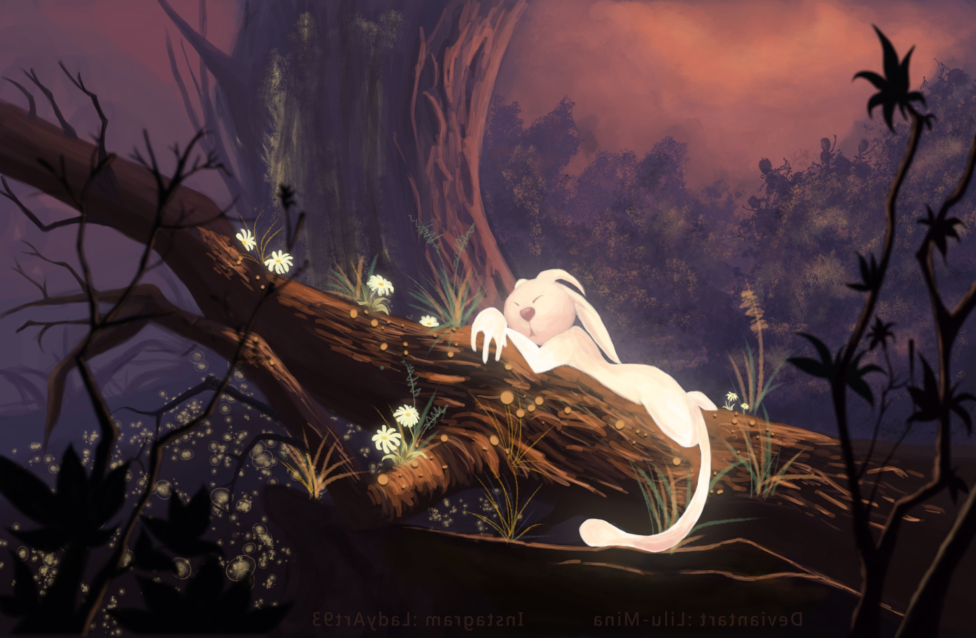 Ori And The Blind Forest, video games, 4K, HD Wallpaper
