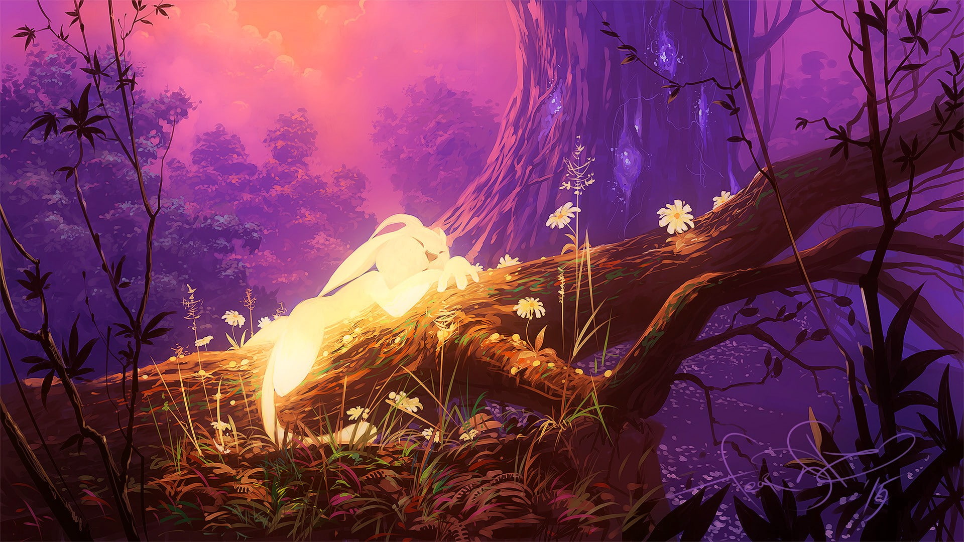 outdoors, glowing, tree, sky, illuminated, ori and the blind forest fan art digital art, long exposure, non-urban scene, digital composite, forest, motion, HD Wallpaper
