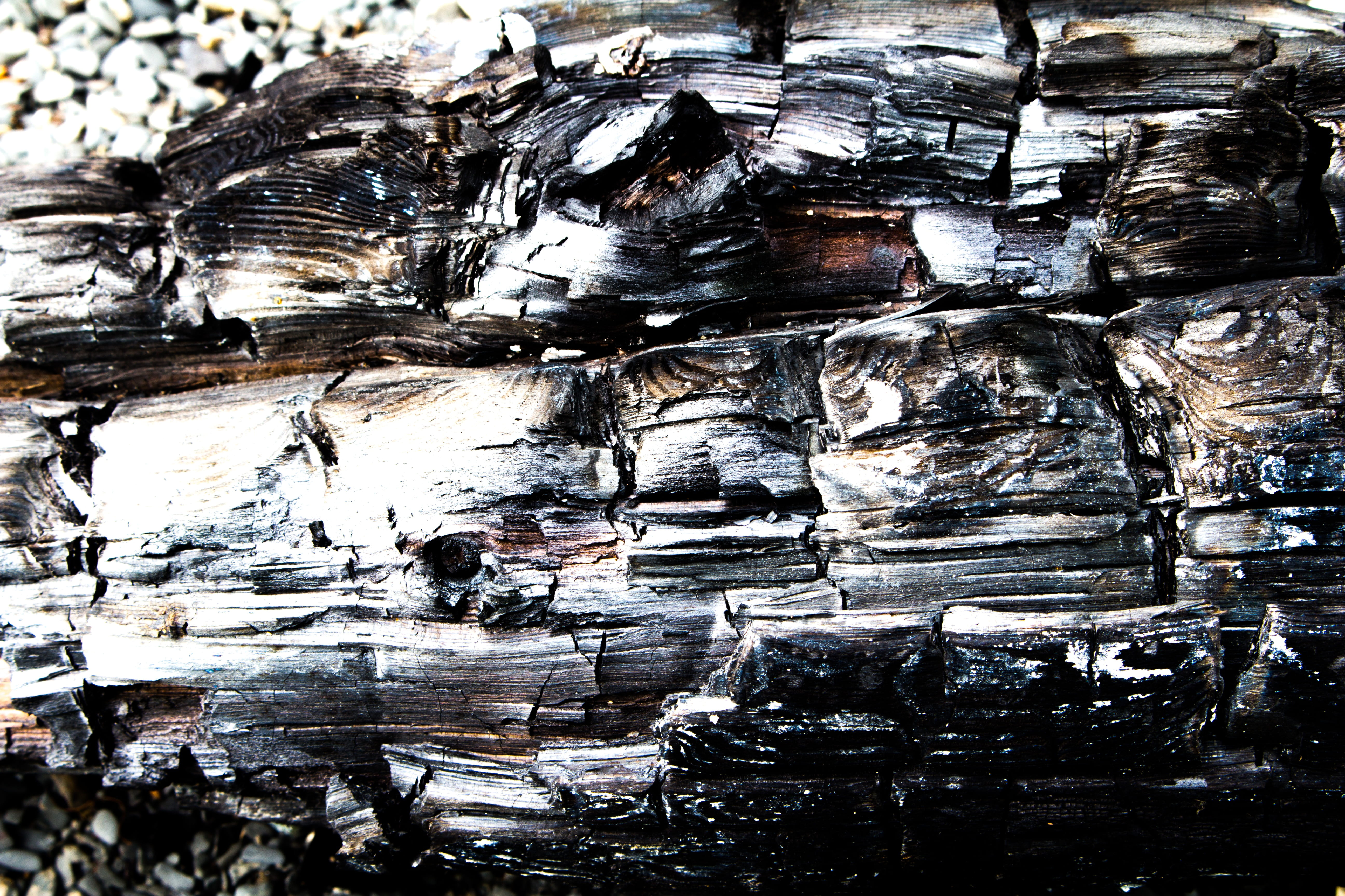 wood - material, bark, outdoor, hot, day, reflection, texture, natural pattern, Driftwood, outdoors, close-up, built structure, textured effect, Wood, Coal, HD Wallpaper