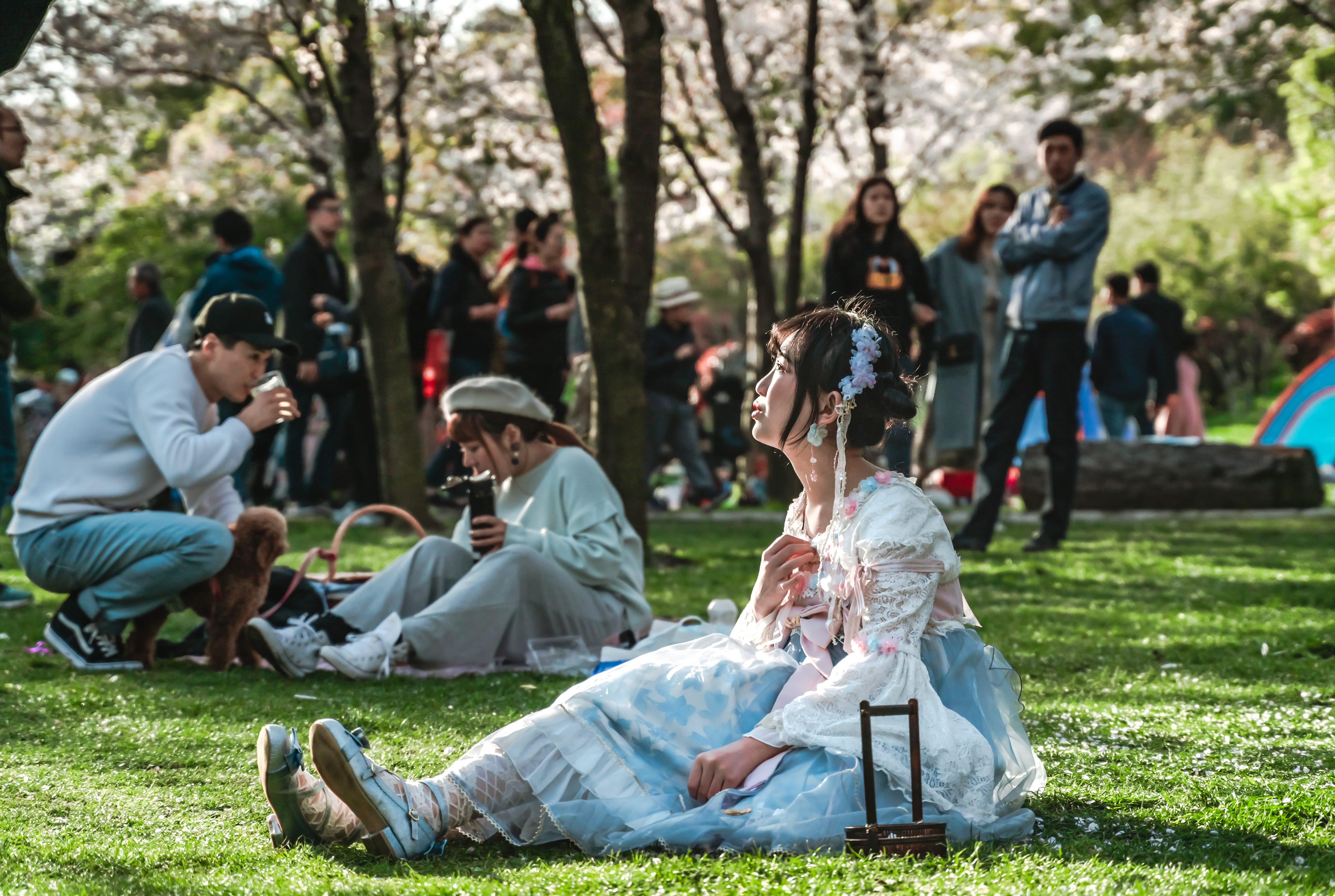 crowd, tree, shoe, picnic, dish, medium group of people, females, men, group of people, tent, person, food, land, helmet, footwear, 5K, couple - relationship, HD Wallpaper