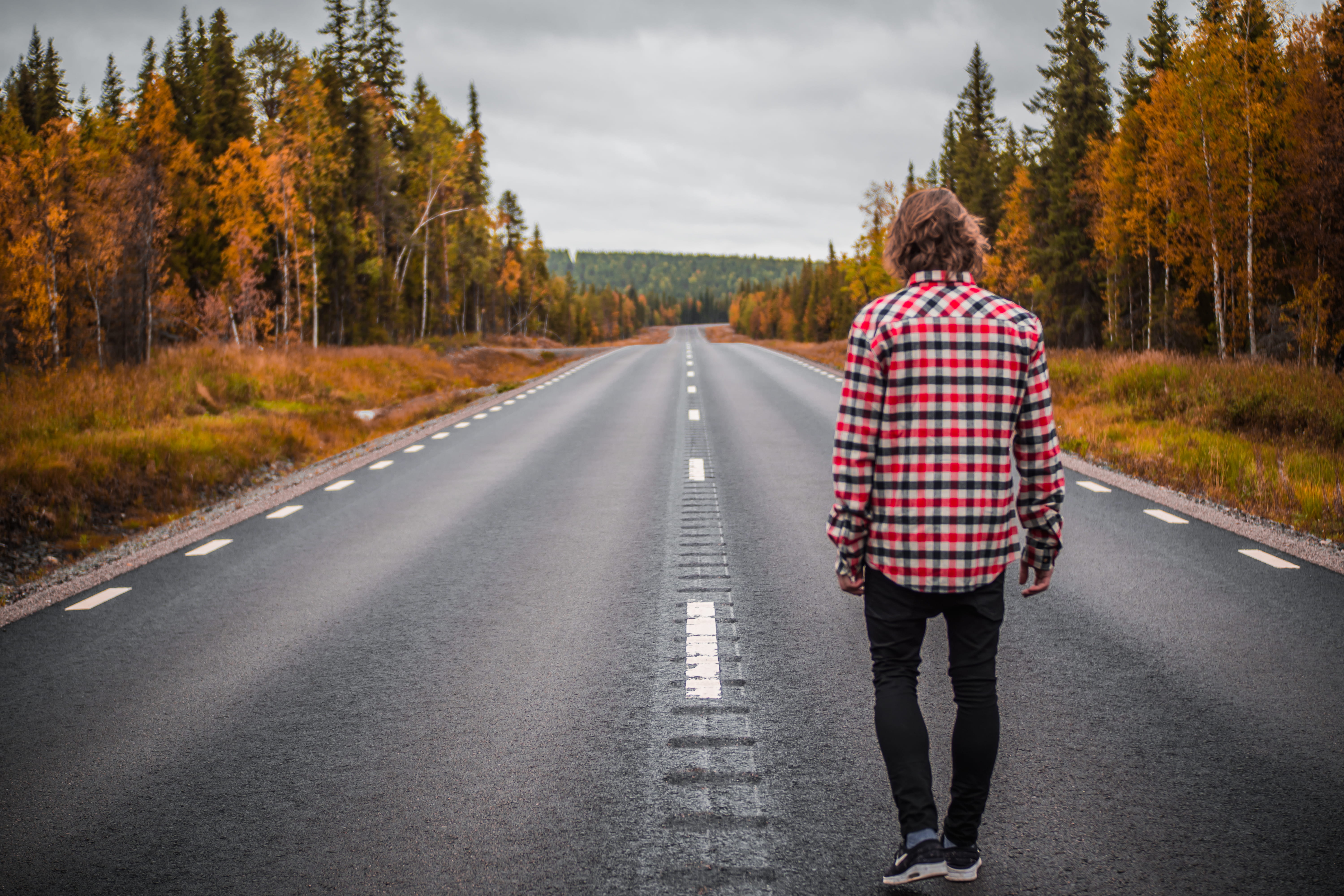 highway, autumn, road marking, fall, middle, rear view, lifestyles, empty, plant, shirt, diminishing perspective, male, transportation, forest, day, sweden, HD Wallpaper