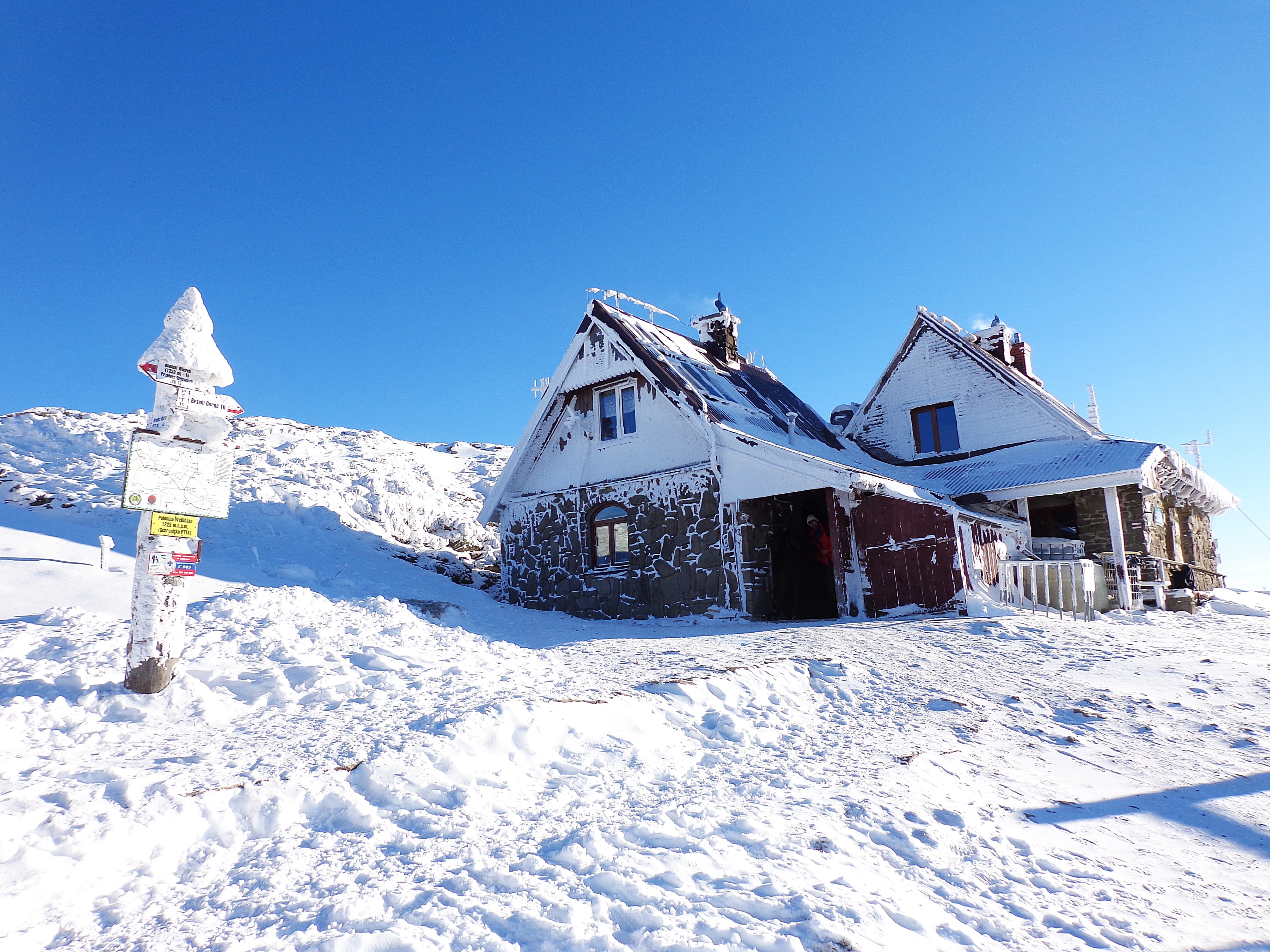 frost, biel, white, building, blue, land, forest, built structure, white color, the beauty of the mountains, skis, winter in the mountains, cold temperature, HD Wallpaper