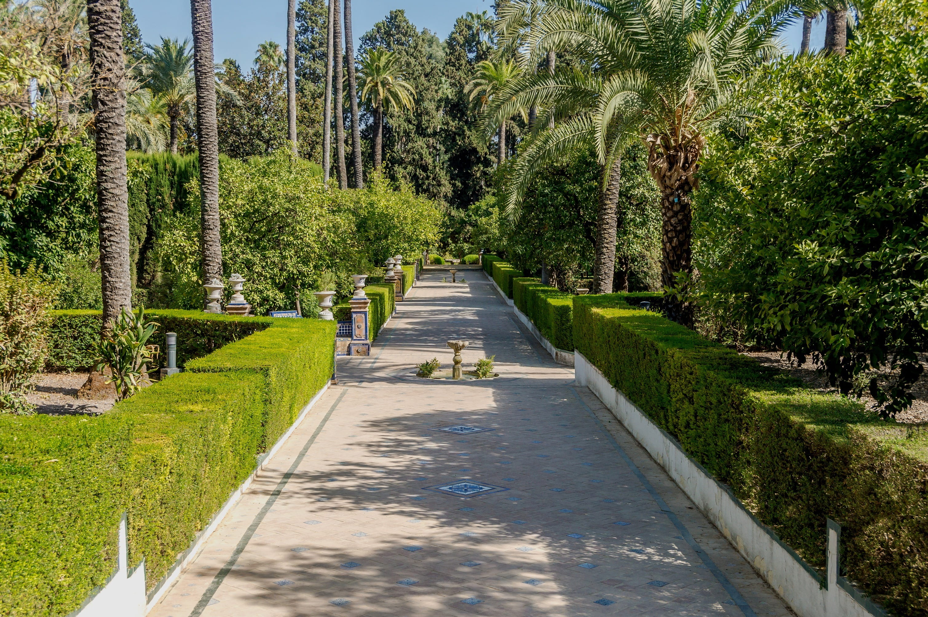 road, hedge, outside, palm tree, Landscape, beautiful, park, park - Man Made Space, bushes, shadow, diminishing perspective, seville, Trees, Seville, walkway, HD Wallpaper
