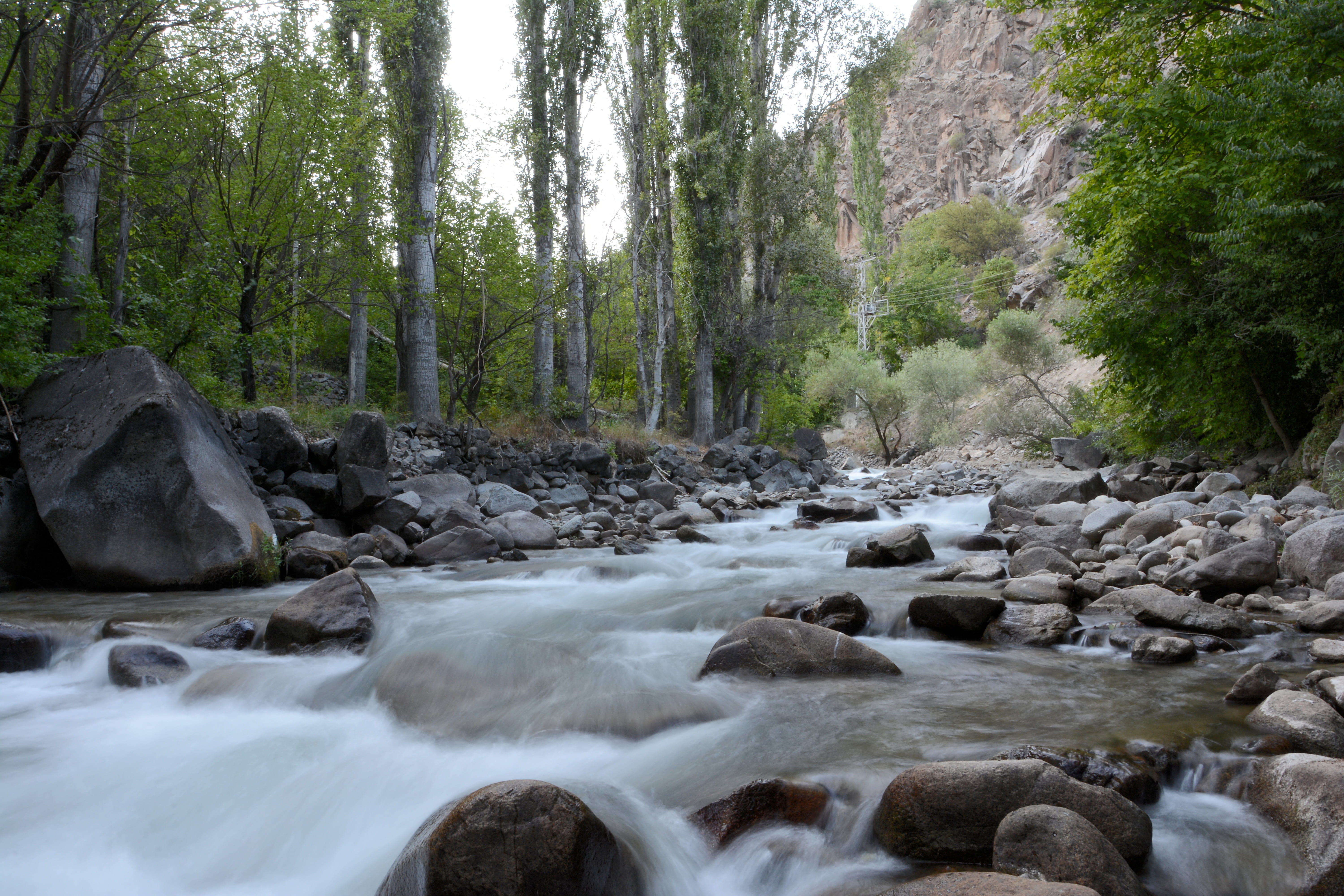 garden, tree, greens, rocks, background, grass, landscape, motion, tranquility, composition, long exposure, plant cover, stream - flowing water, peace, HD Wallpaper