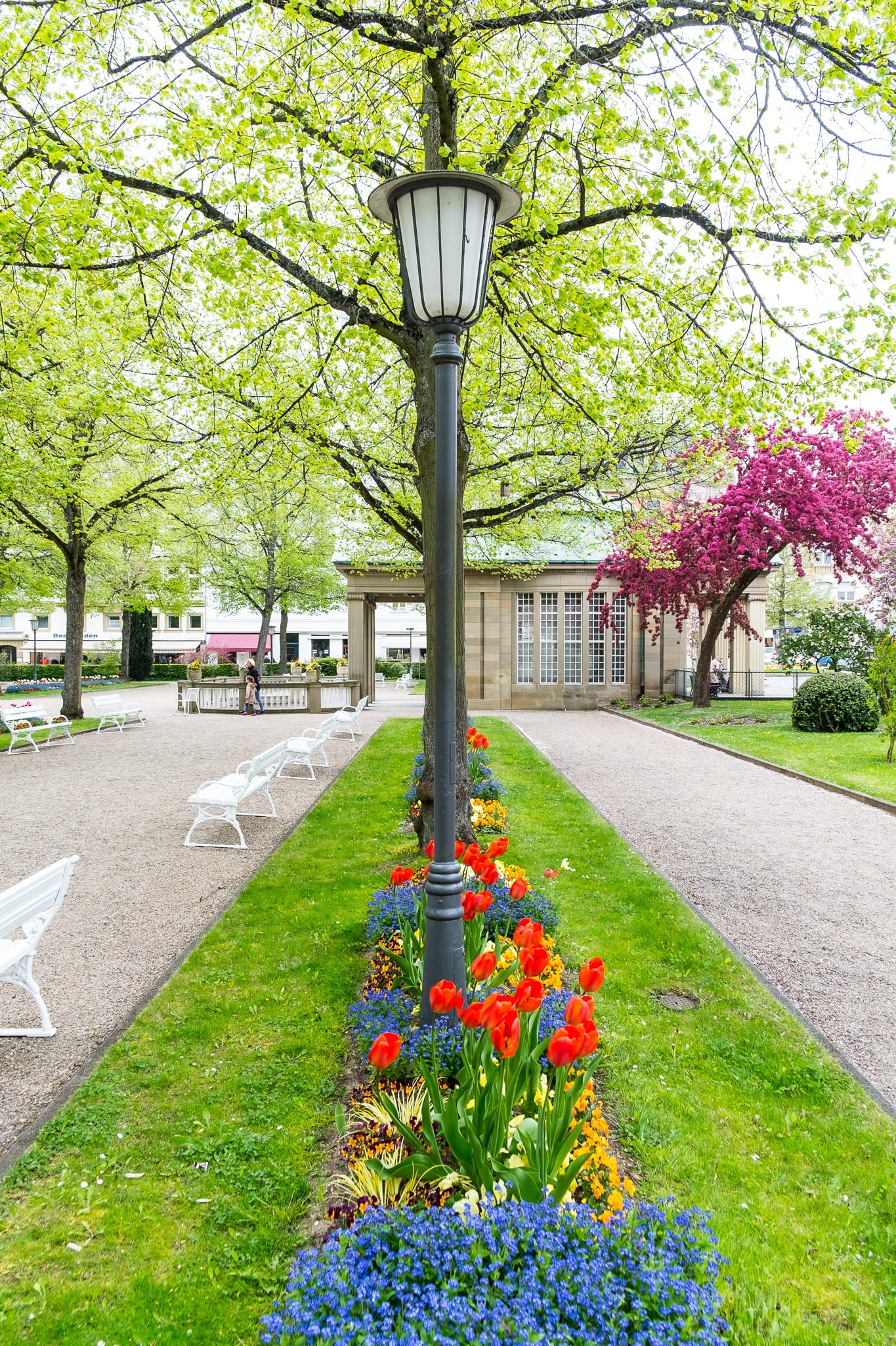 fragility, lamp, garden, Spa, flowering plant, street, architecture, park, flowerbed, no people, town view, saale, garden path, flower, formal Garden, multi colored, Phone HD Wallpaper