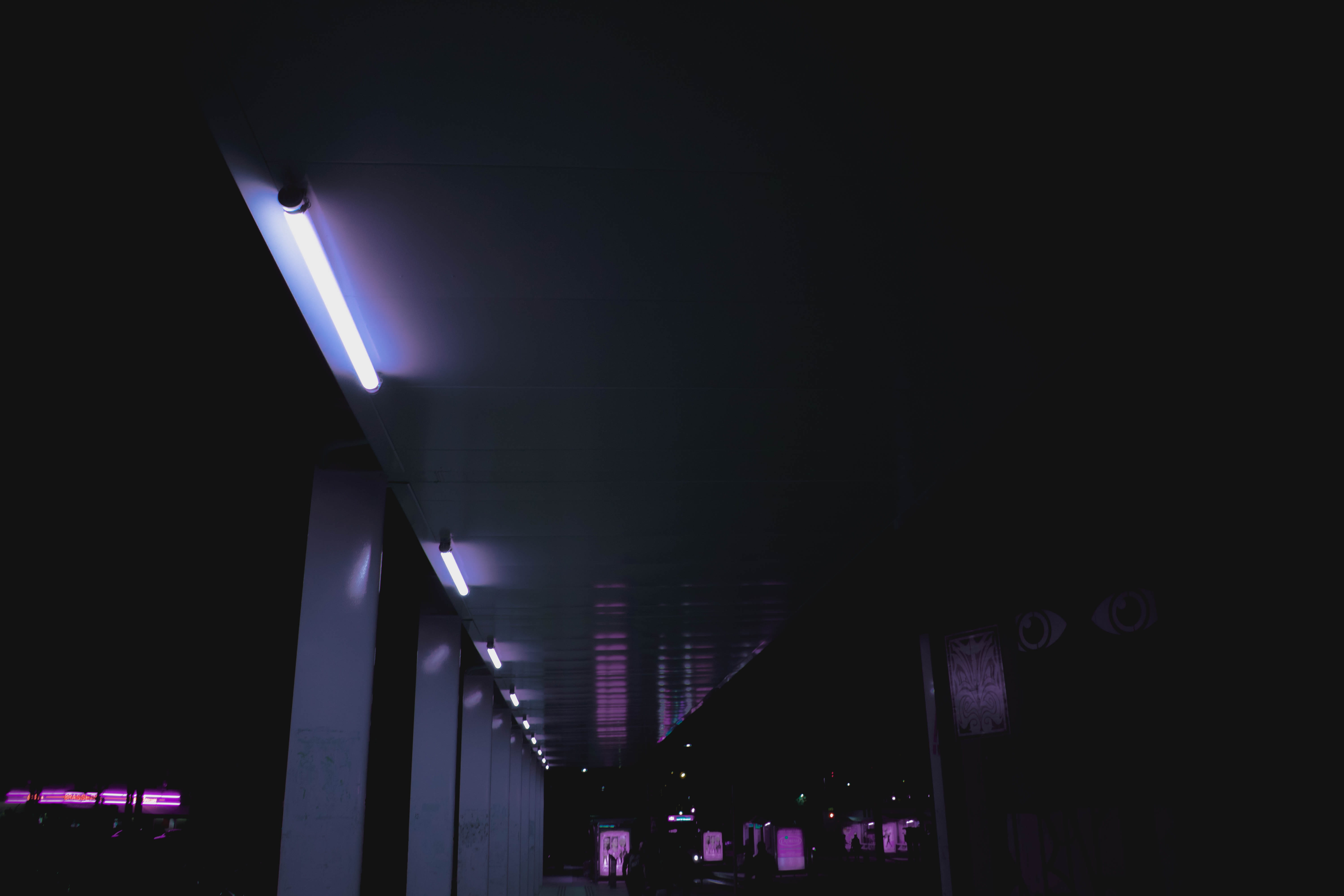 neon light, purple, night, copy space, direction, neo, light fixture, indoors, the way forward, nature, lighting equipment, ceiling, future, low angle view, HD Wallpaper