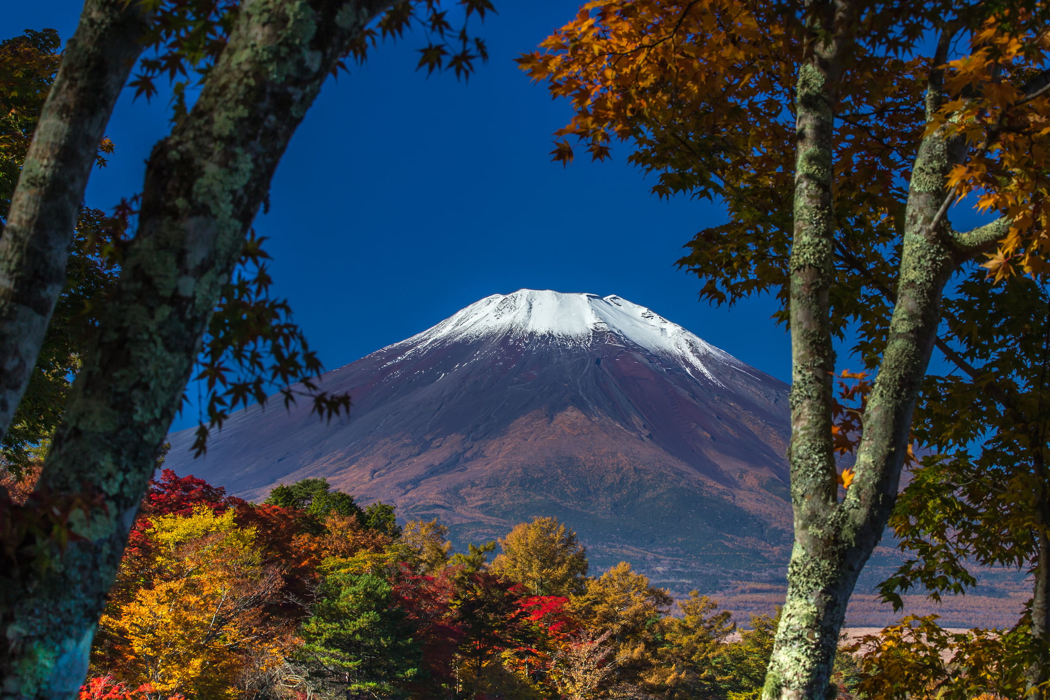 the sky, 1080P, autumn, Japan, plant, change, tranquility, scenics - nature, trees, leaves, mountain, outdoors, sky, tranquil scene, winter, land, mt, HD Wallpaper