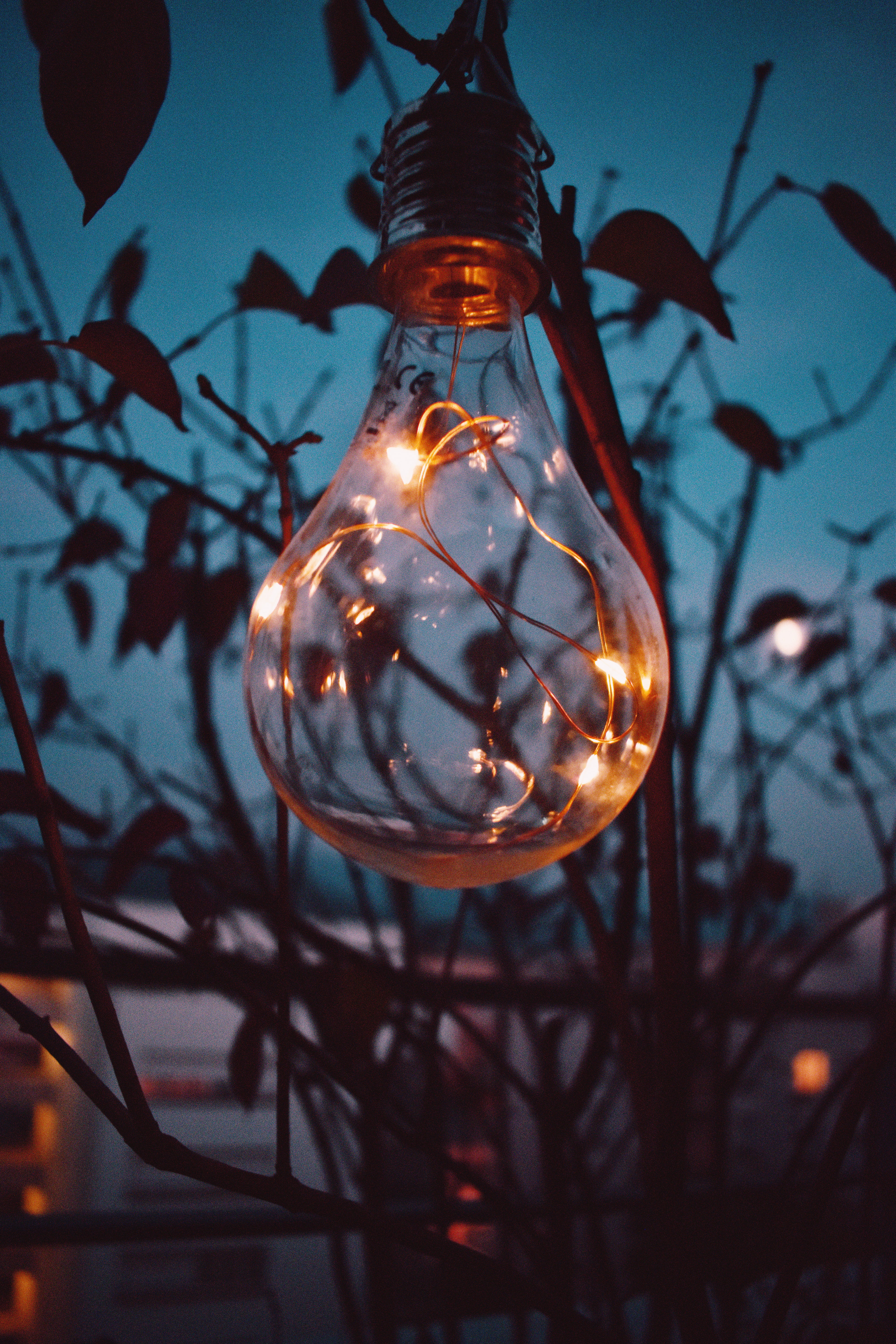 electric light, electric lamp, light bulb, glowing, transparent, electricity, filament, christmas, decoration, night, close-up, glass - material, france, Phone HD Wallpaper