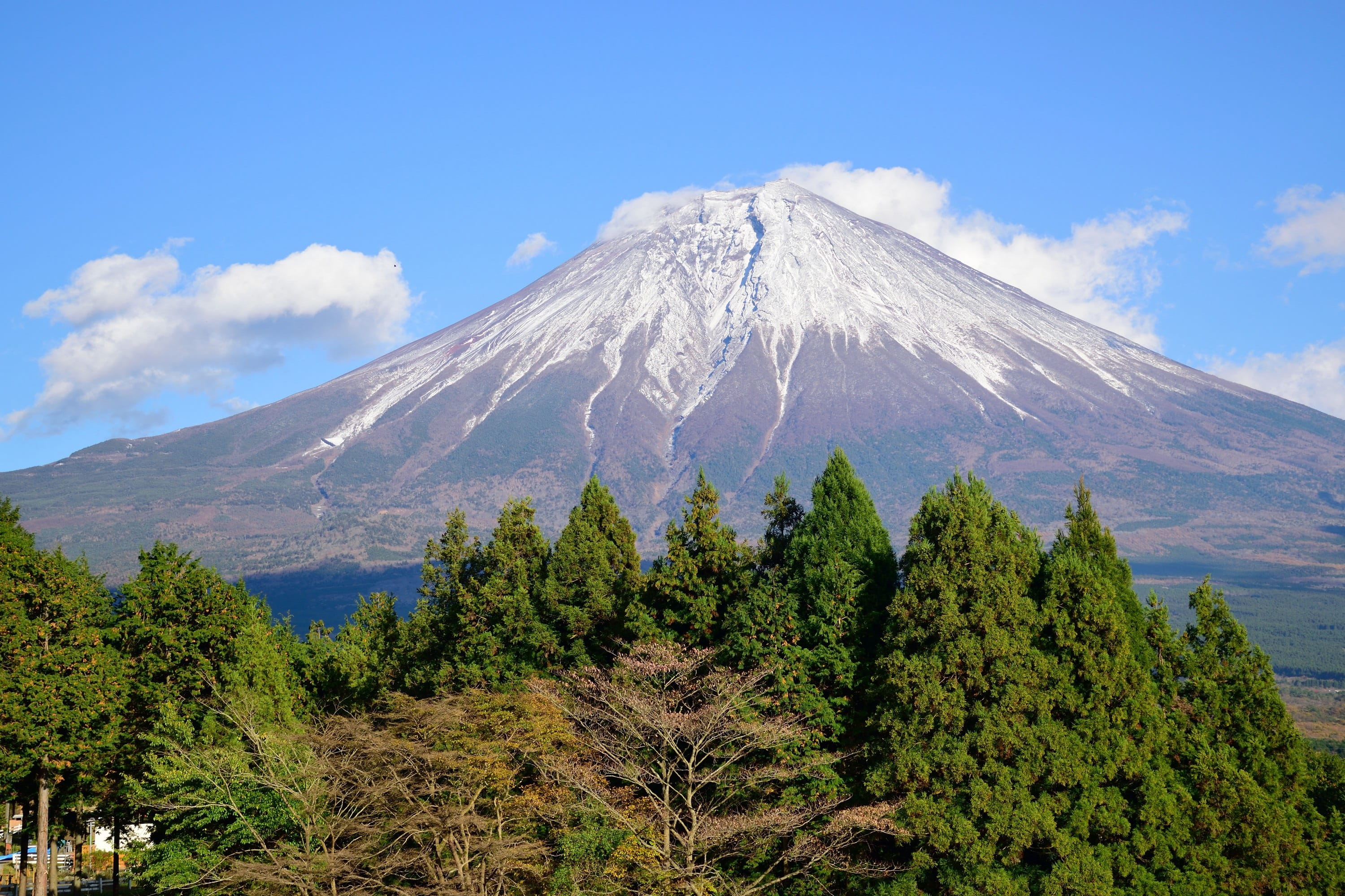 snow, japan, shizuoka, mountain, no people, growth, forest, volcanic crater, day, beauty in nature, hills, land, plant, 2K, scenics - nature, snowcapped mountain, HD Wallpaper