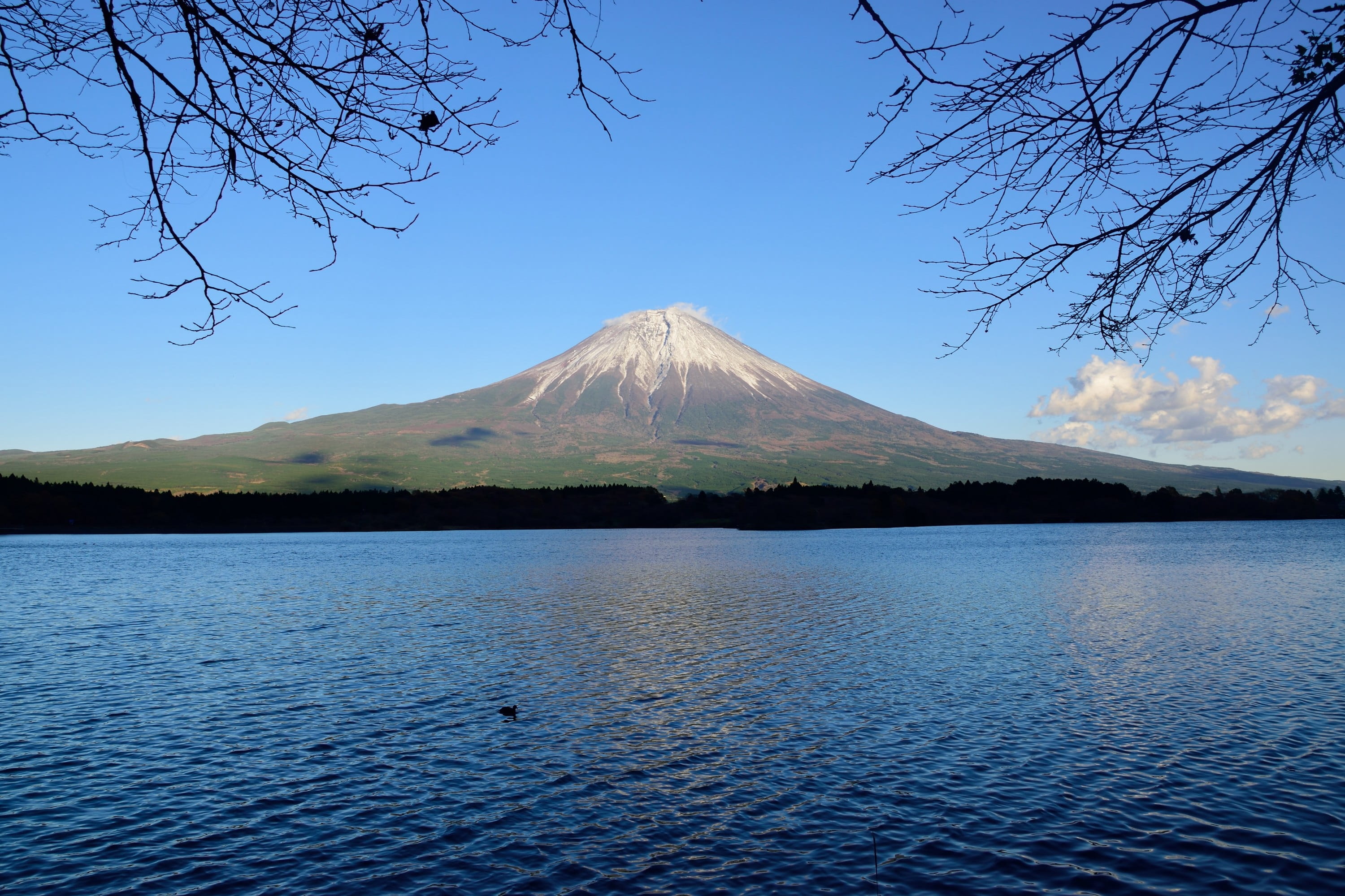 lake, tourism, volcanic crater, day, plant, nature, shadow, beauty in nature, no people, travel destinations, japan, fuji, scenics - nature, snowcapped mountain, HD Wallpaper