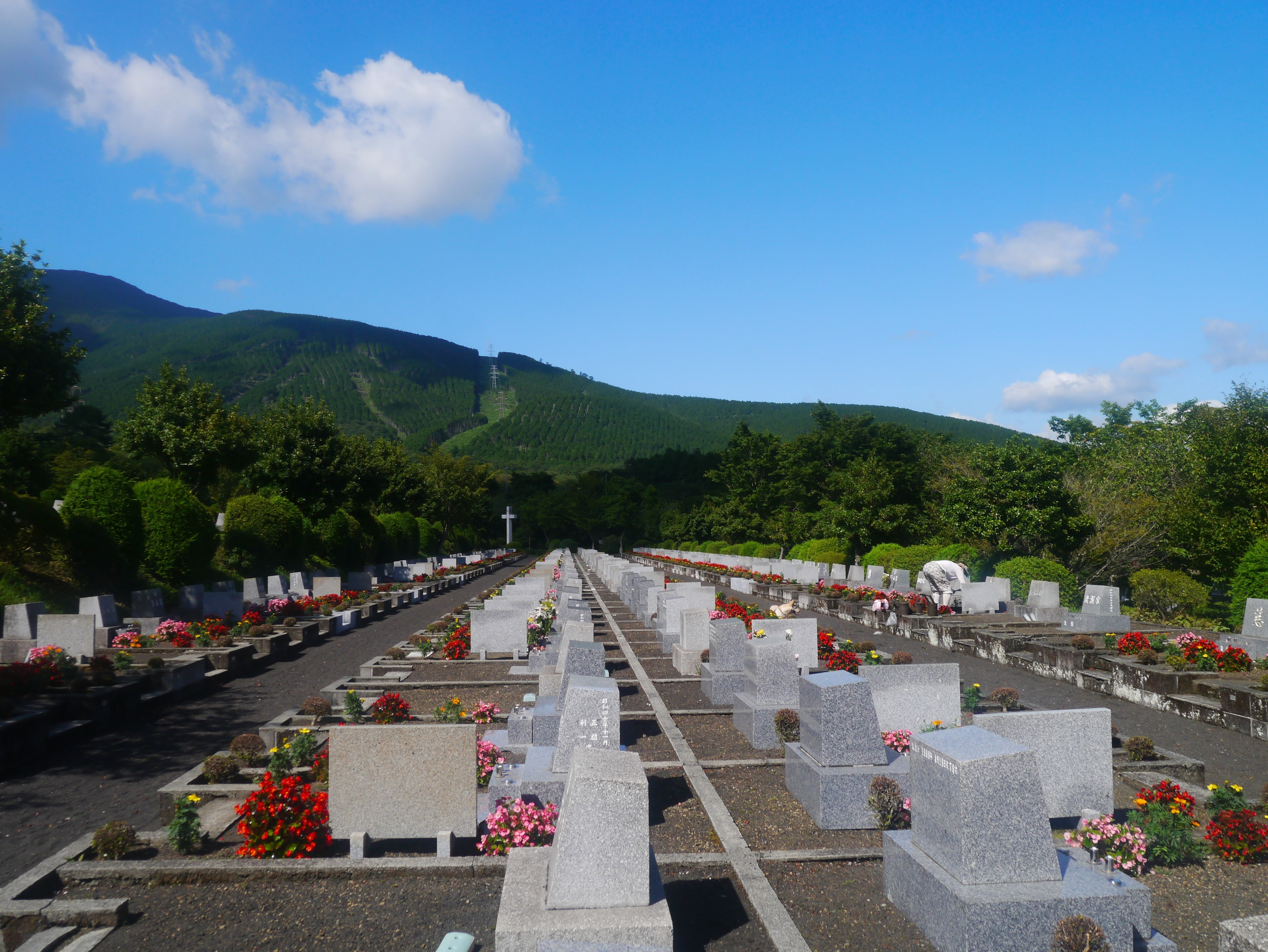 tombstone, outdoors, beauty in nature, japan, road, oyama, cremation, day, plant, 4K, grave marker, cloud - sky, transportation, white cloud, blue sky, HD Wallpaper
