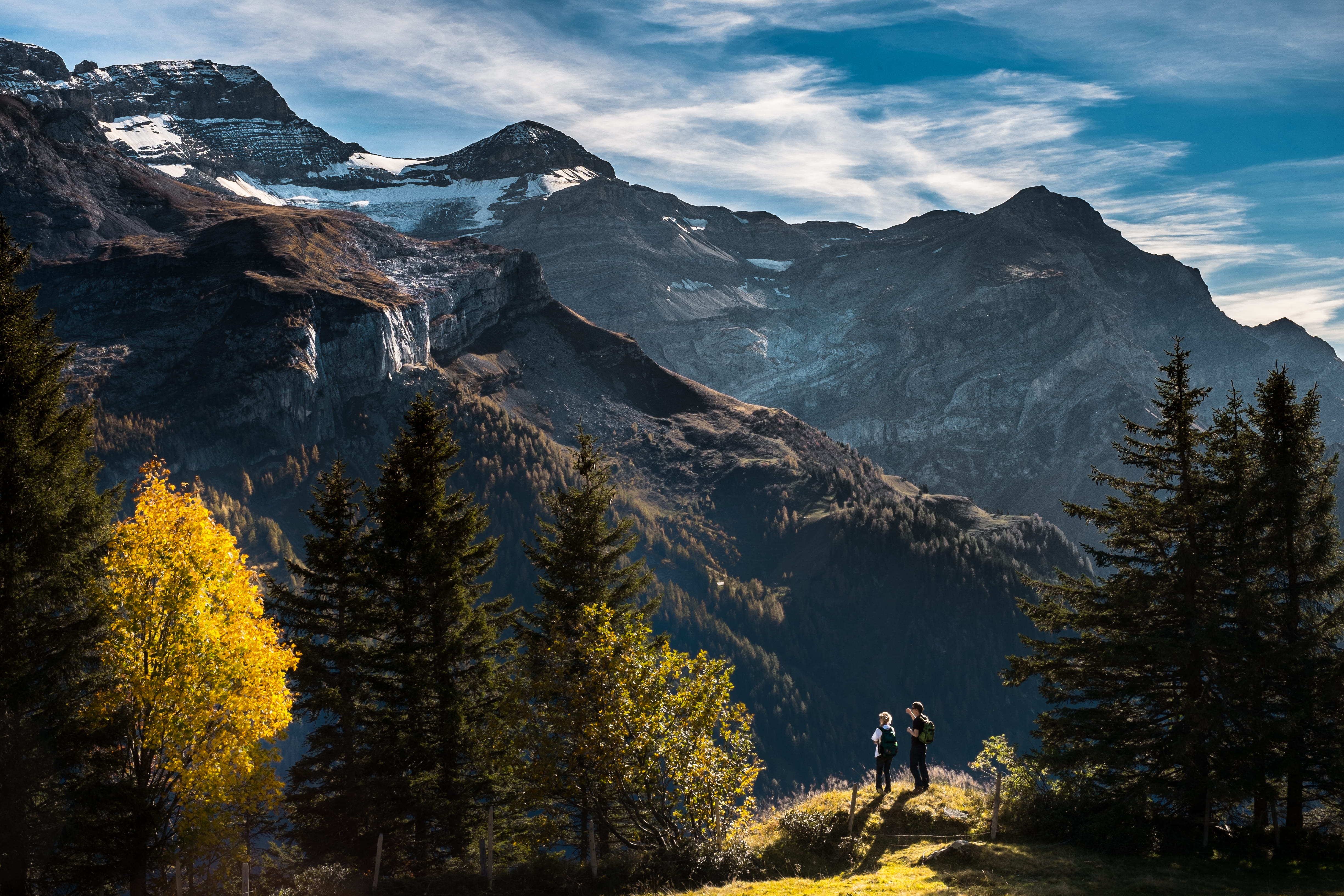tree, day, coniferous tree, tranquility, adventure, panoramic, environment, beauty in nature, wilderness, standing, trees, two, 4K, autumn, non-urban scene, HD Wallpaper