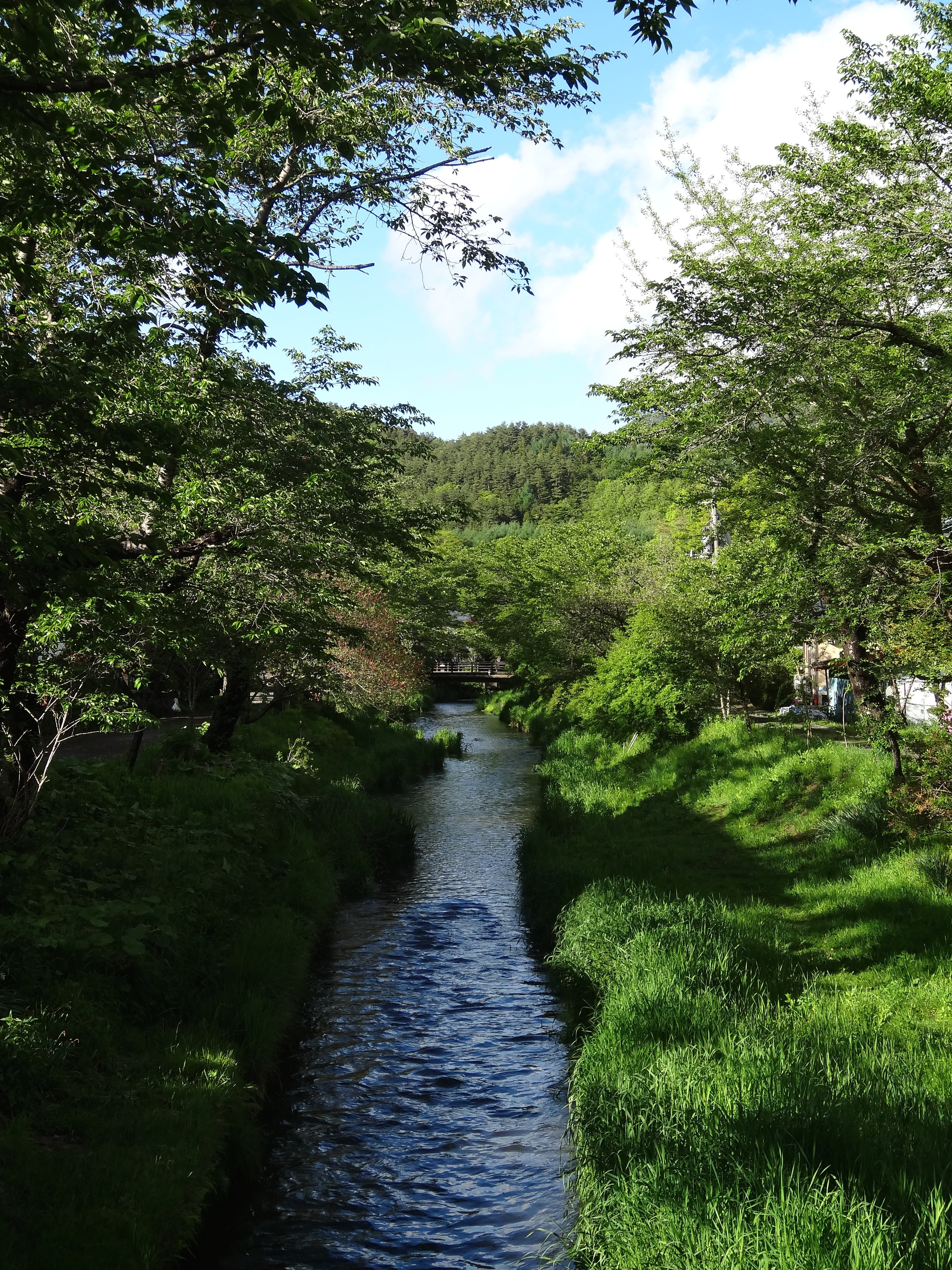 plant, tranquil scene, growth, clear stream, japan, tree, day, mt fuji, lush foliage, beauty in nature, water, nature, no people, fuji san, forest, clear skies, Phone HD Wallpaper