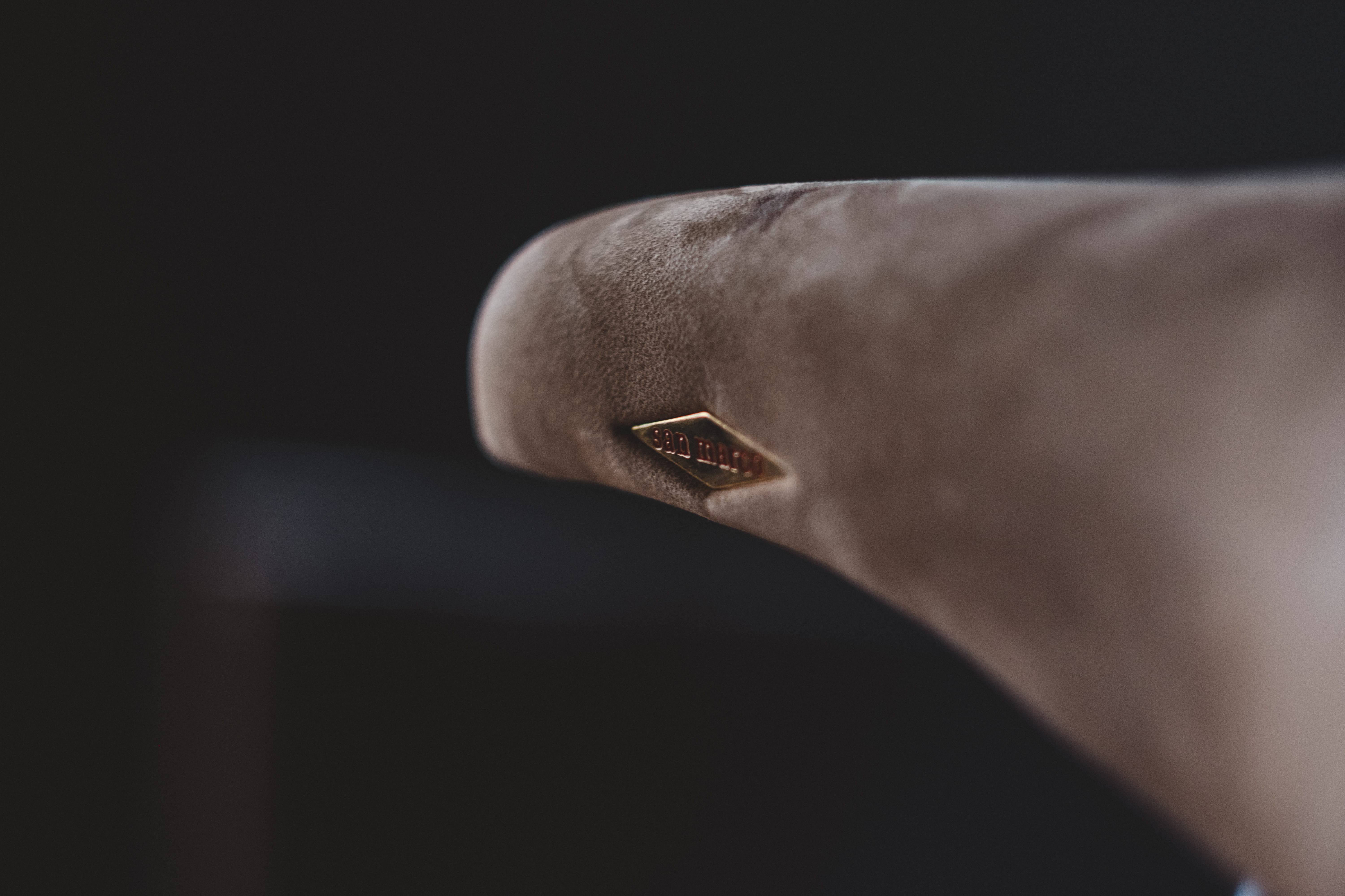 fuji, grey, focus, impression, portrait, human limb, close-up, dark, animal body part, selective focus, helios, black background, possession, business, HD Wallpaper