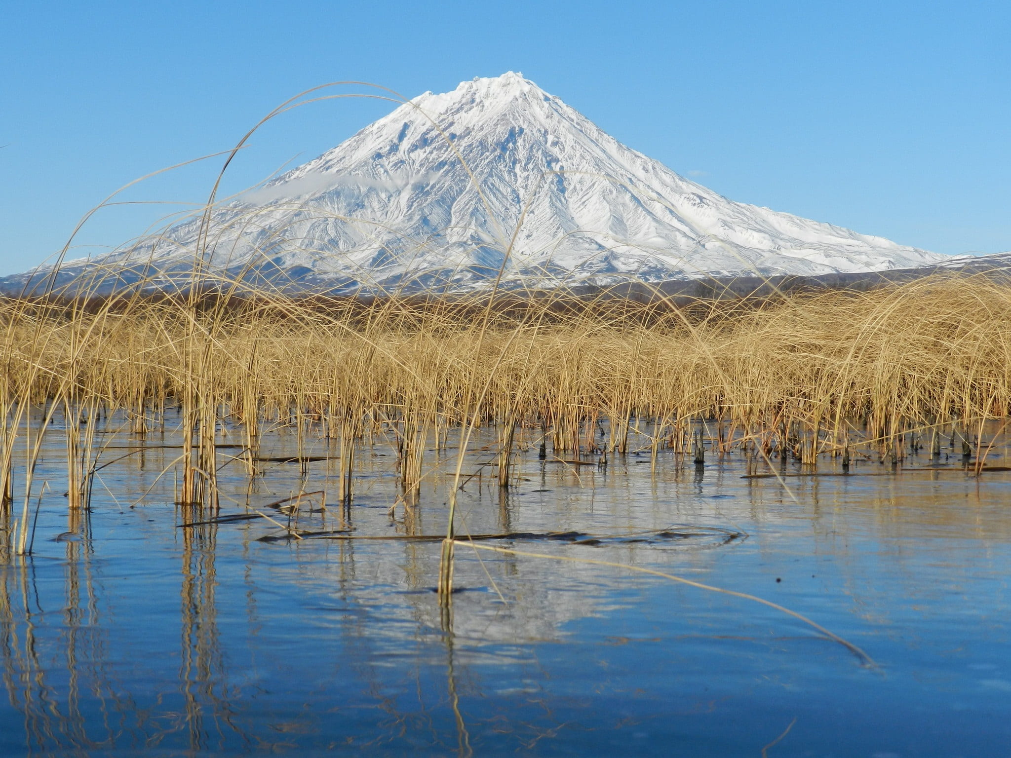 golden grass, lake, 1080P, snow, sky, kamchatka, mountain peak, beauty in nature, ice, non-urban scene, winter, reflection, scenics - nature, tranquility, HD Wallpaper