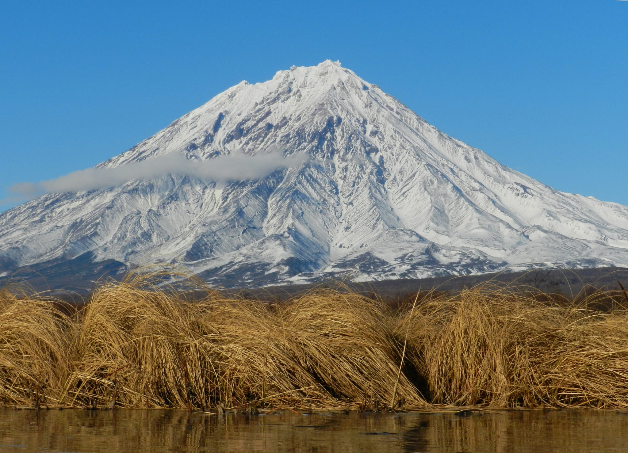 koryaksky volcano, snowy mountains, clear sky, no people, golden grass, outdoors, mountain peak, cold temperature, tundra, scenics - nature, tranquility, HD Wallpaper