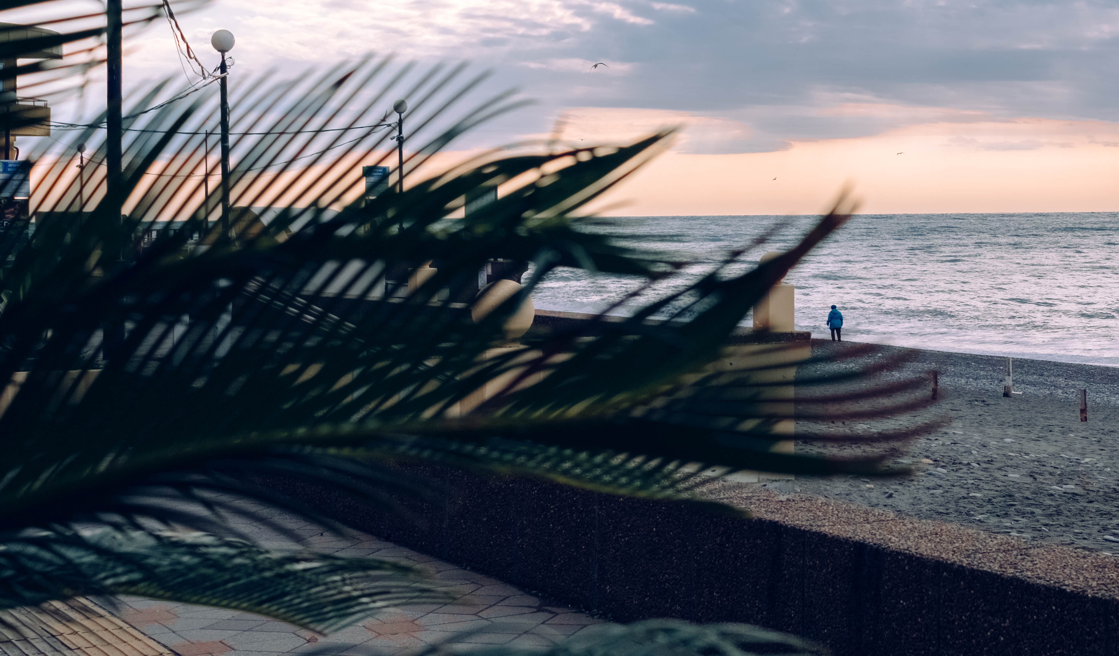 yachts, no people, sunlight, cafe, summer, seashells, water, beach, tranquility, mode of transportation, sochiponia, sochi, built structure, outdoors, daytime, HD Wallpaper
