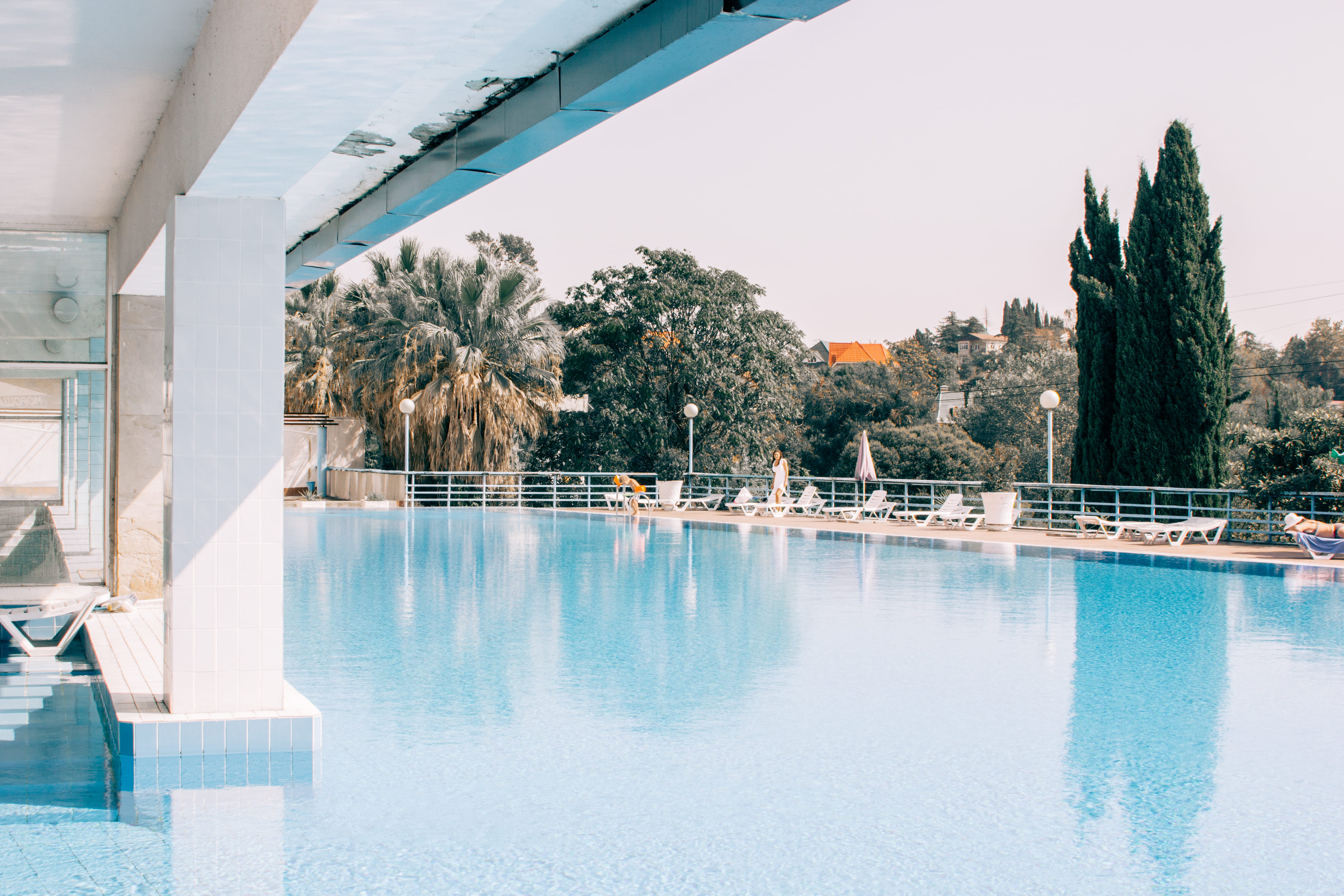 vscox, palm tree, sea, swimming pool, blacksea, plant, reflection, built structure, outdoors, streetphotos, russia, swim, sun, canon, pool, canon_photos, HD Wallpaper
