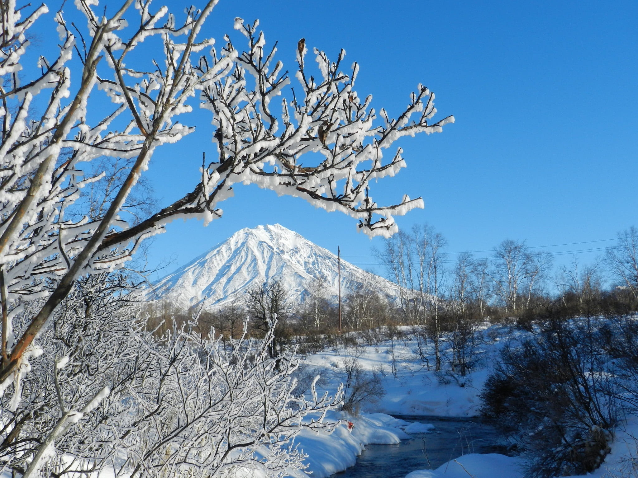 tundra, no people, early morning, 1080P, snow, snowcapped mountain, birch, kamchatka, cold, landscape, frost, koryaksky volcano, tranquil scene, winter forest, HD Wallpaper