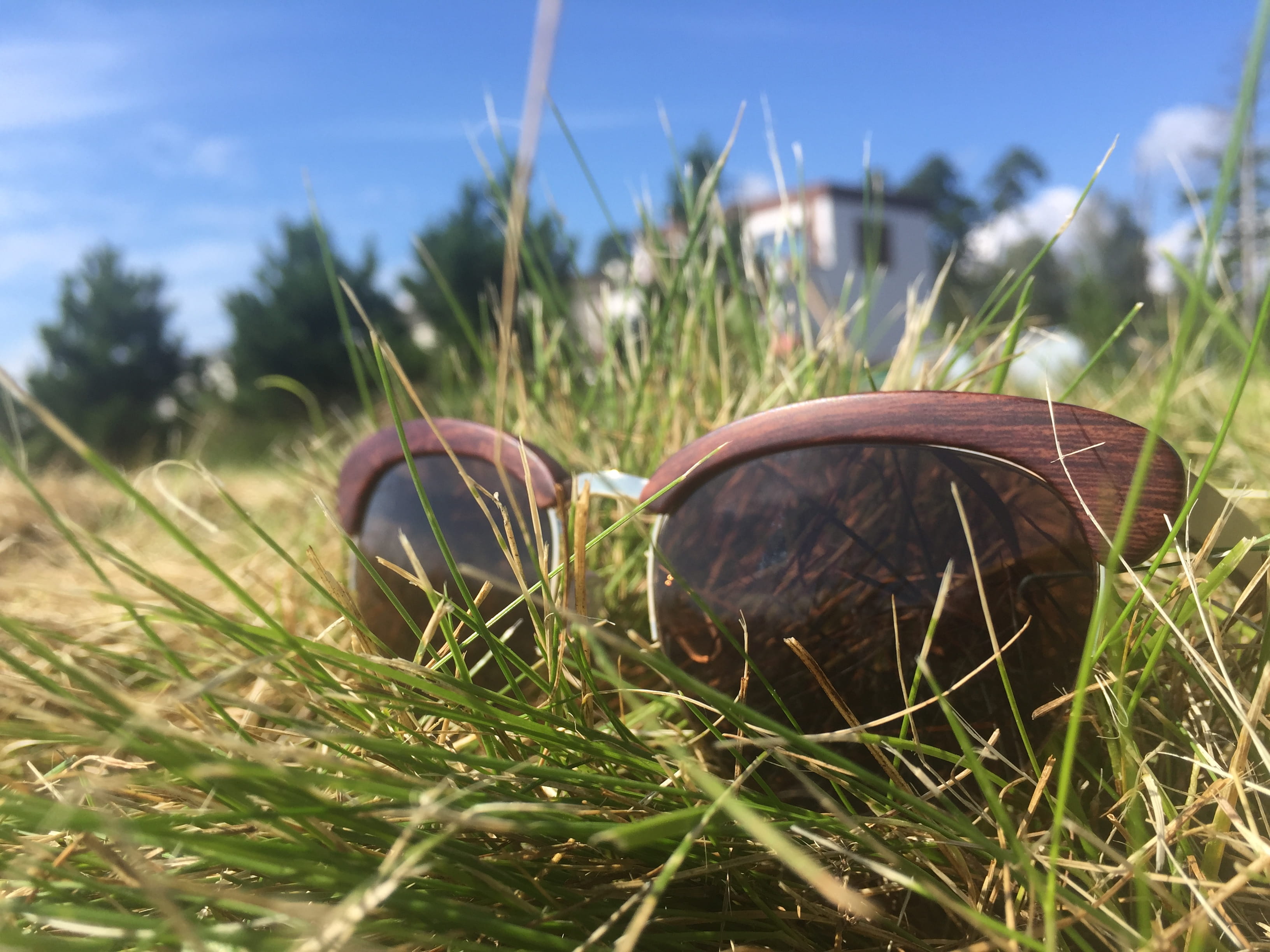 beauty in nature, still life, blade of grass, selective focus, focus on foreground, close-up, nature, sunlight, grass, field, outdoors, 2K, green color, HD Wallpaper