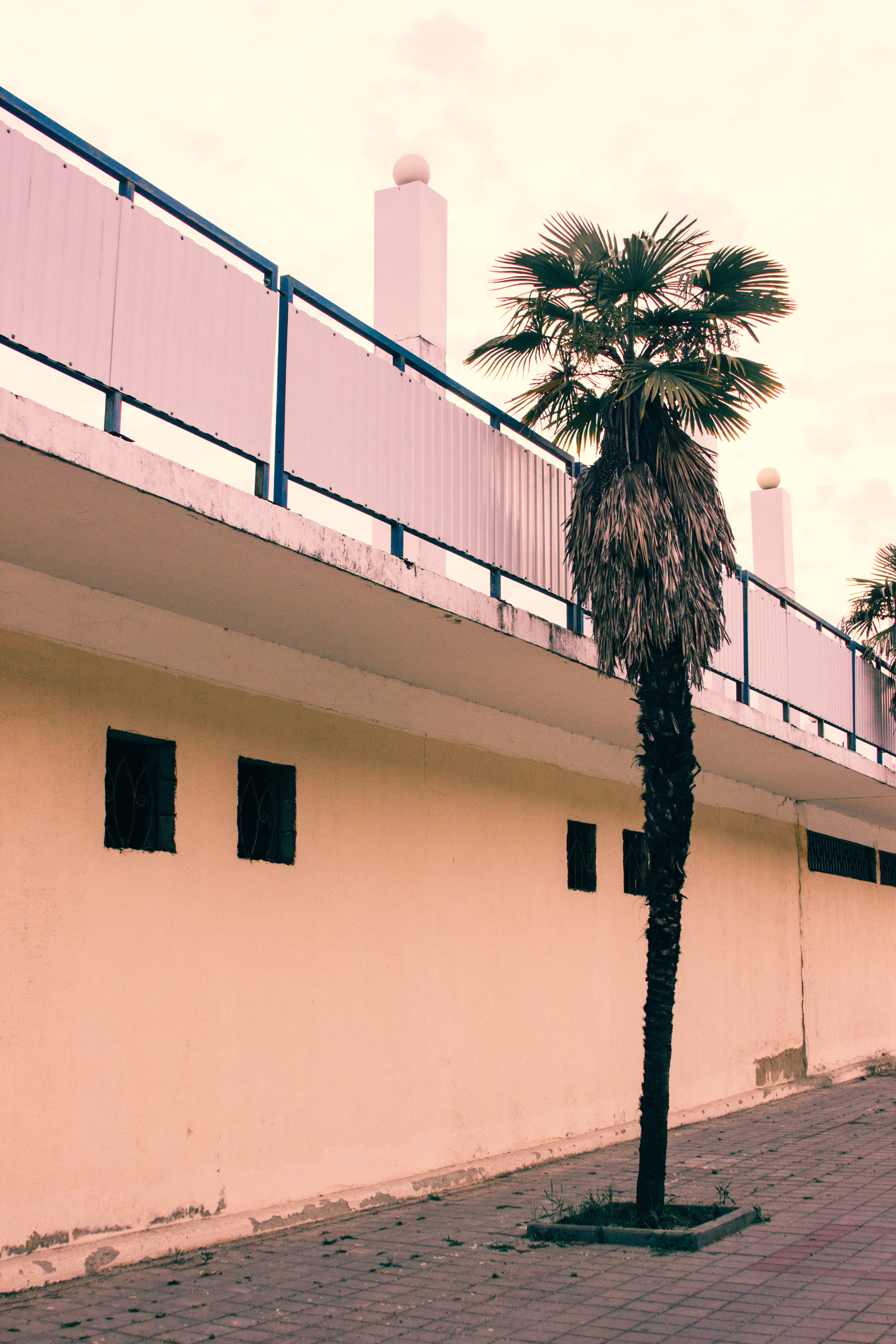 россия, railing, sunlight, sochifornia, sea, built structure, vscox, canon, sky, outdoors, streetphotos, canonphotography, tropical climate, vscosochi, Phone HD Wallpaper