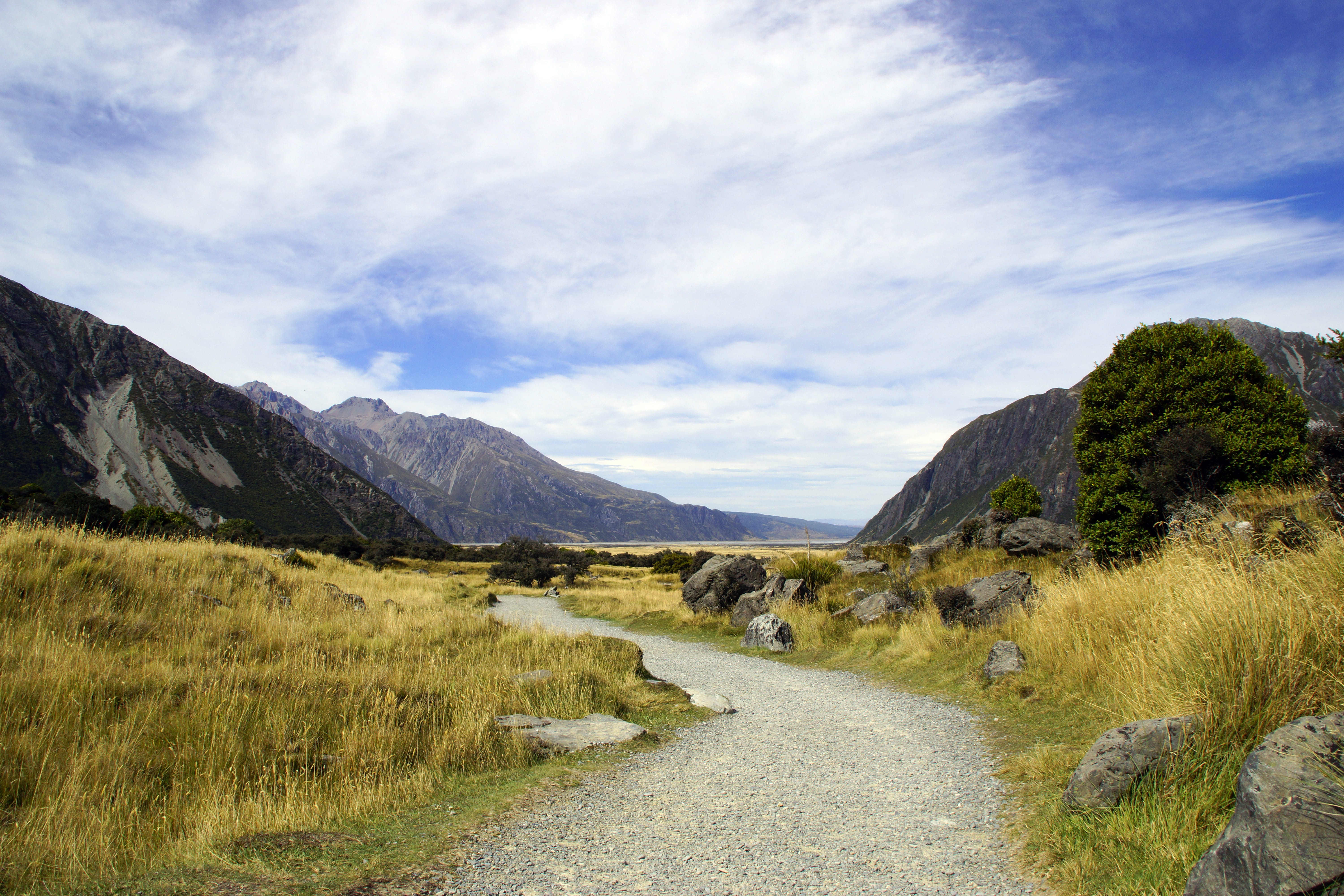 landscape, 5K, footpath, nature, plant, wilderness, scenics - nature, direction, road, south island, no people, the way forward, mt cook, mount cook, beauty in nature, HD Wallpaper