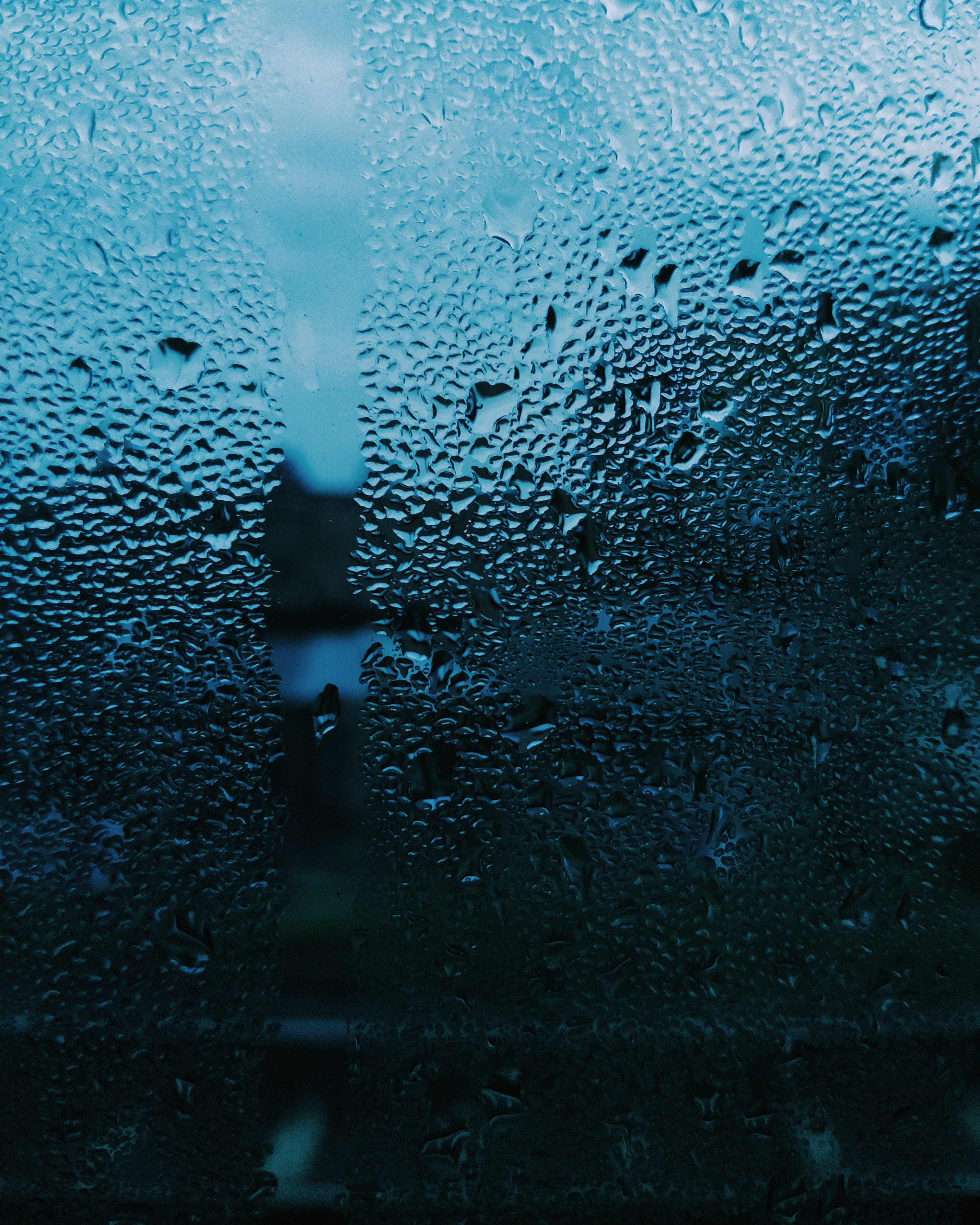 dye, fish, backgrounds, electronics, display, condensation, 2K, droplet, screen, steel, focus on foreground, glass - material, wet, animal, no people, Phone HD Wallpaper