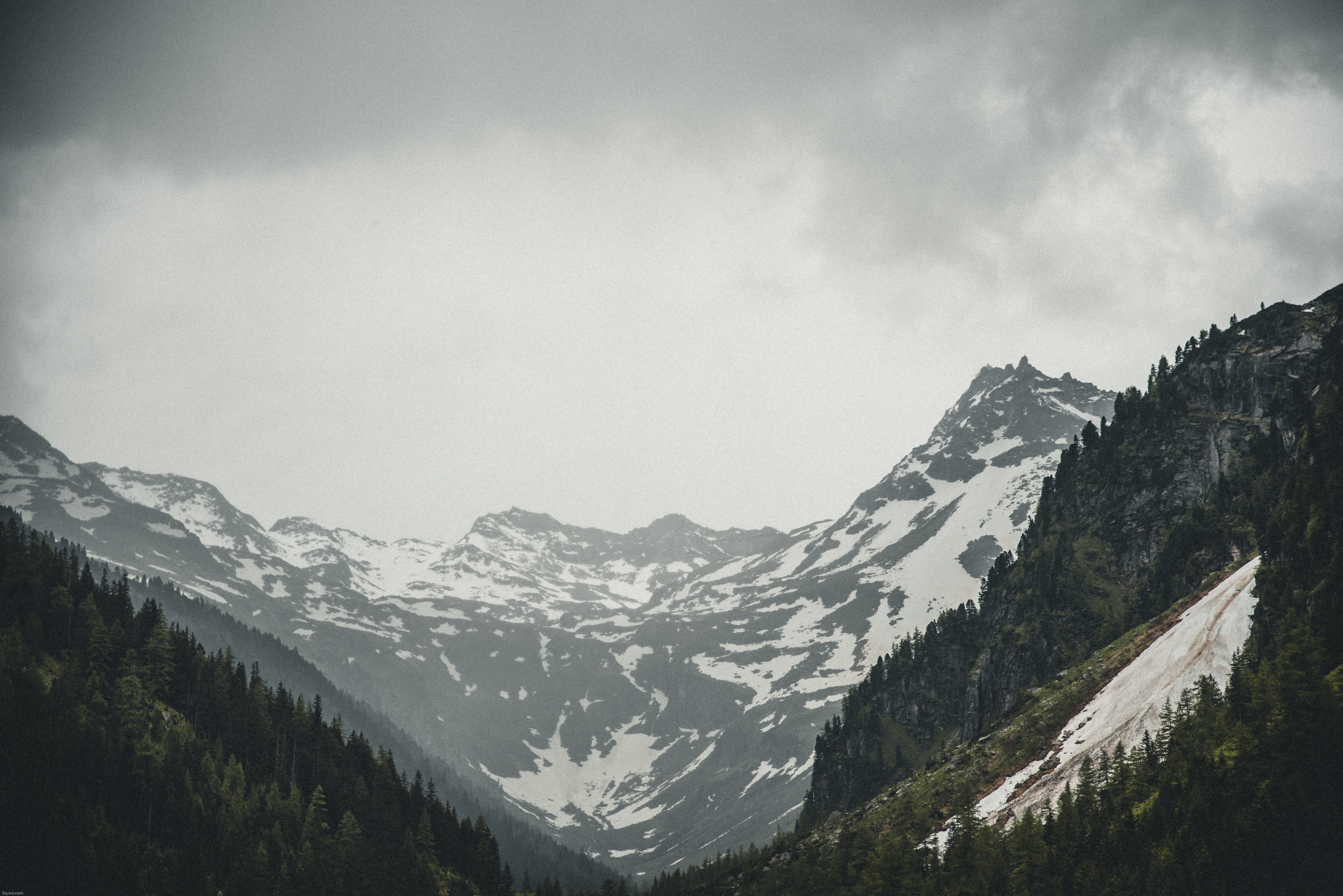 glacier, tranquility, nature, foggy, daylight, coniferous tree, cold temperature, trees, scenic, cloudy, cloud - sky, sky, non-urban scene, HD Wallpaper