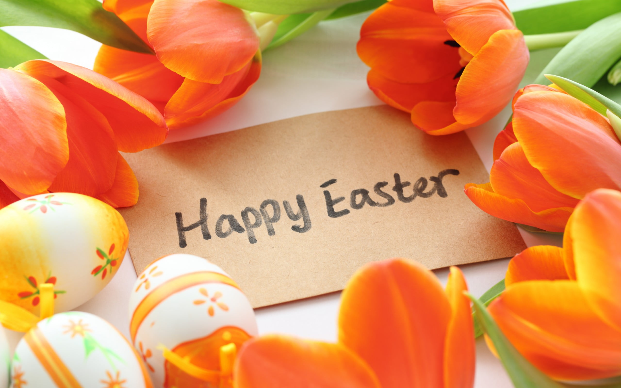 plant, food, card, egg, text, holiday, Festivals / Holidays, close-up, western script, fragility, flowering plant, tulip, tulips, high angle view, flowers, HD Wallpaper