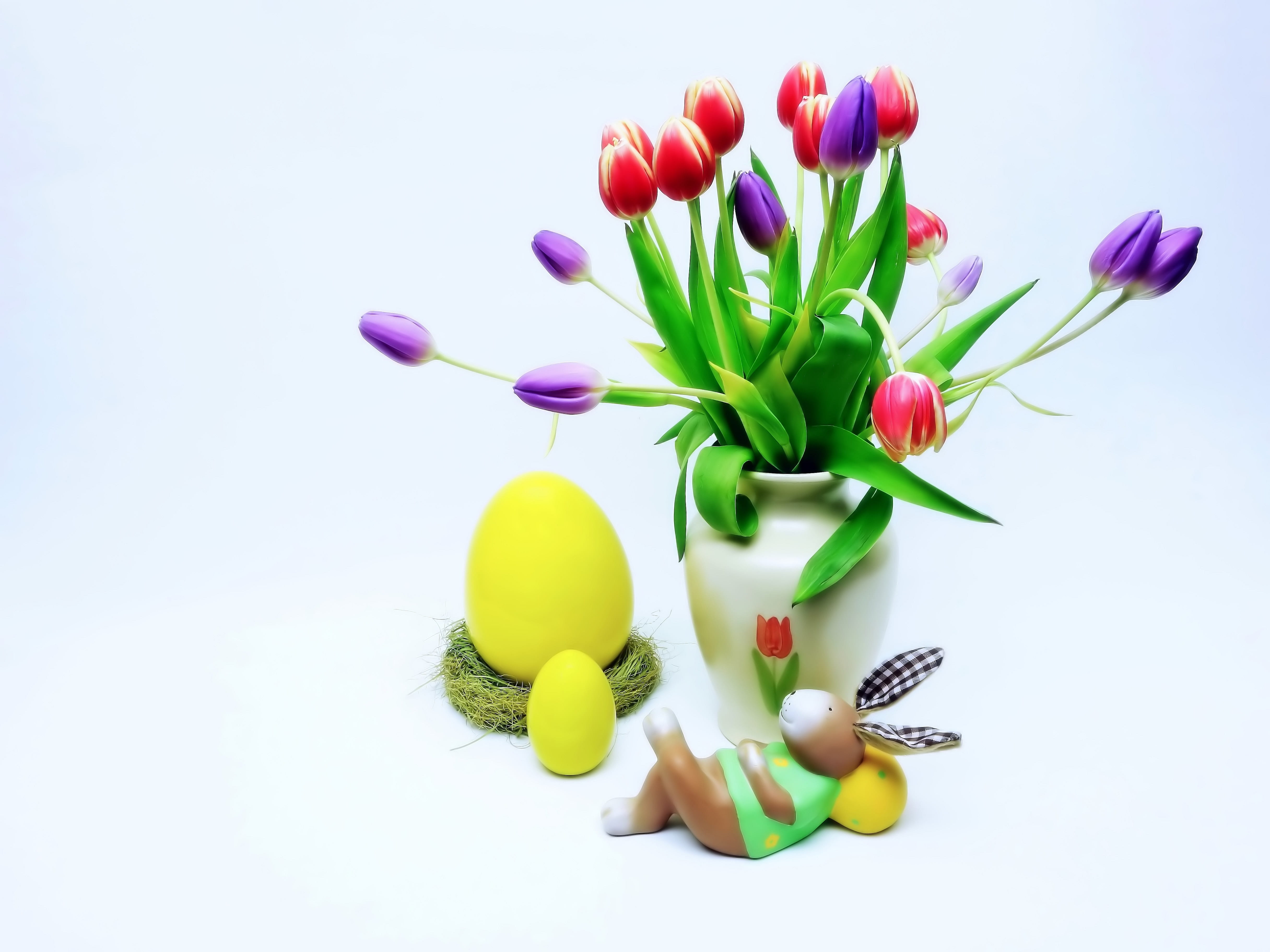 purple, decorative, holiday, freshness, celebration, food, no people, festive, color, beauty in nature, close-up, flowering plant, spring, fragility, beside, HD Wallpaper