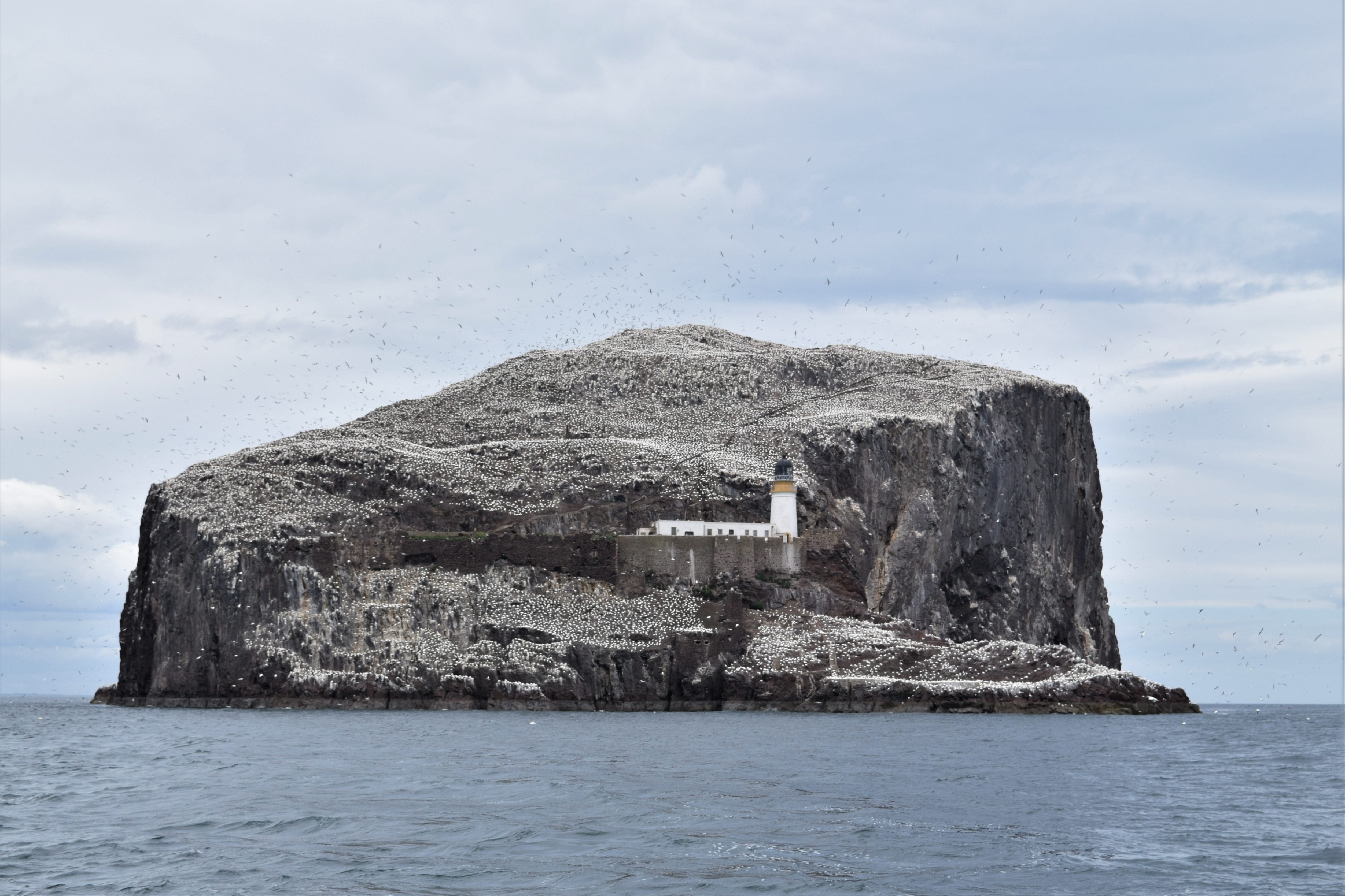 cloud - sky, summer, gannets, solid, building, sea, beauty in nature, coastline, rock, natural, ocean, forth, sky, tranquil scene, waterfront, water, outdoors, HD Wallpaper