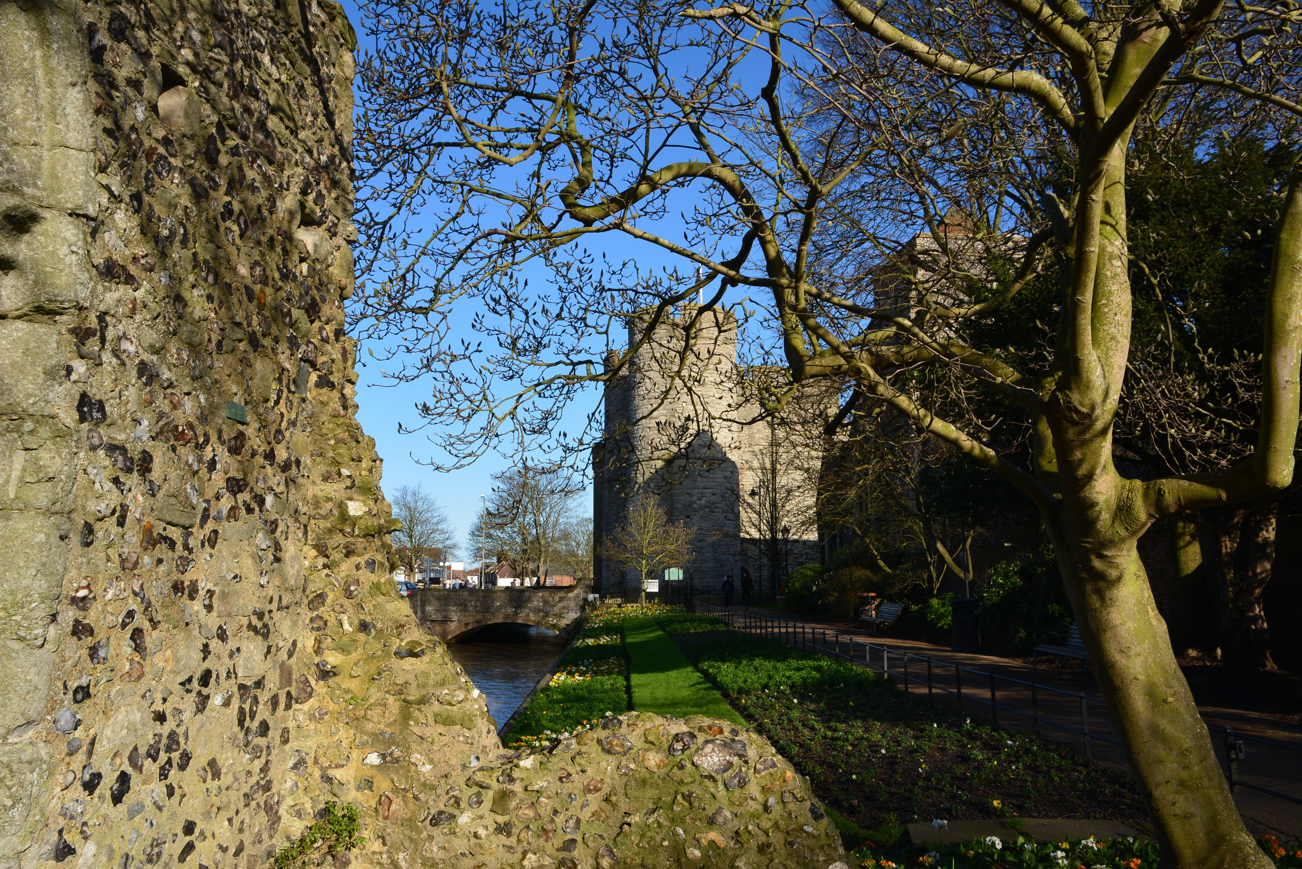 historical, tree, tranquility, canterbury, architecture, england, park - man made space, 4K, branch, sky, outdoors, day, tree trunk, trunk, sights, nature, HD Wallpaper