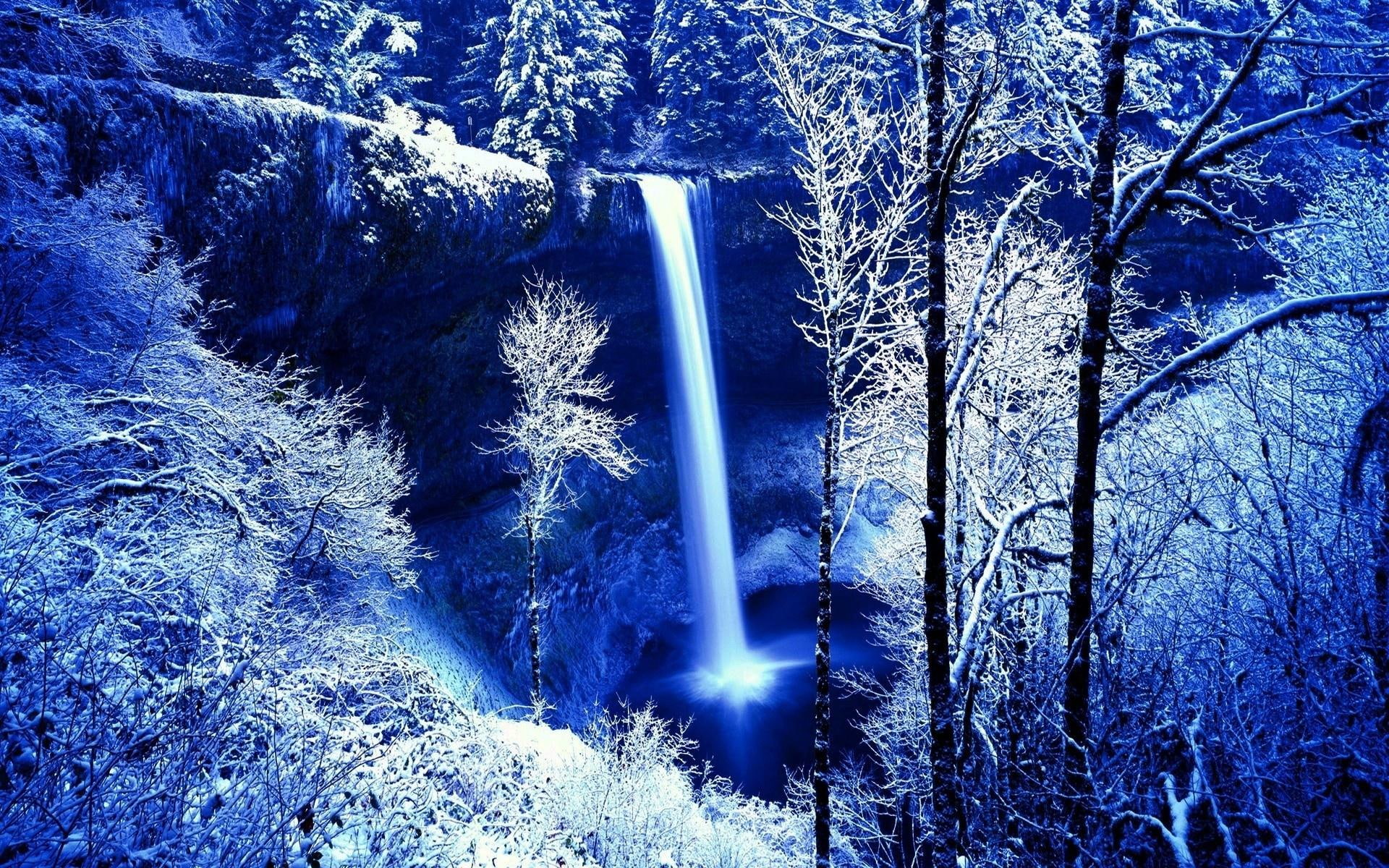 waterfall, tree, icy, 1080P, waterfalls, forest, snow, 1920x1200, winter, nature, HD Wallpaper