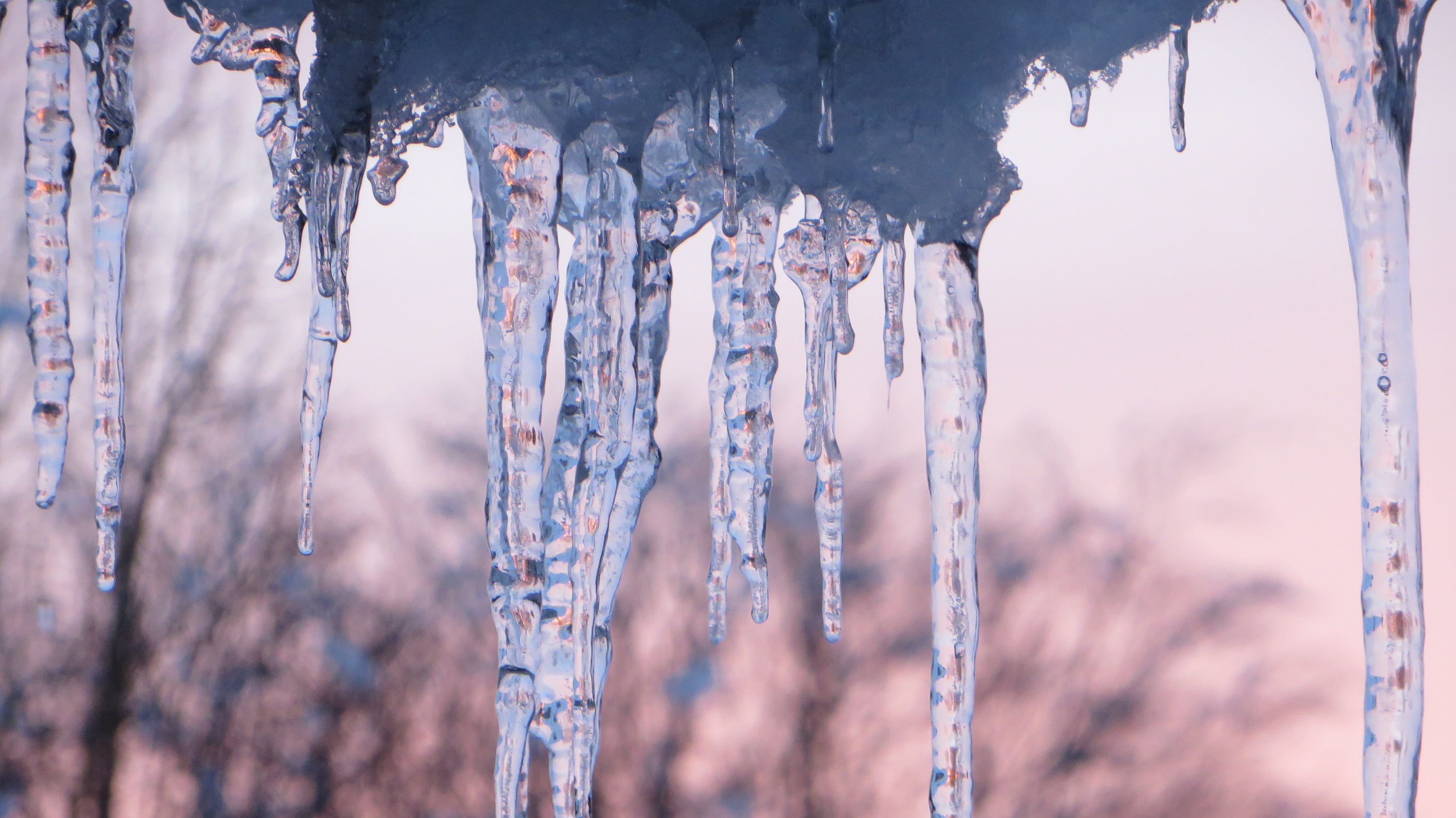 ice, cold, tree, tranquil scene, winter, close-up, icicle, cold temperature, 4K, frozen, water, nature, focus on foreground, drip, tranquility, snow, environment, HD Wallpaper