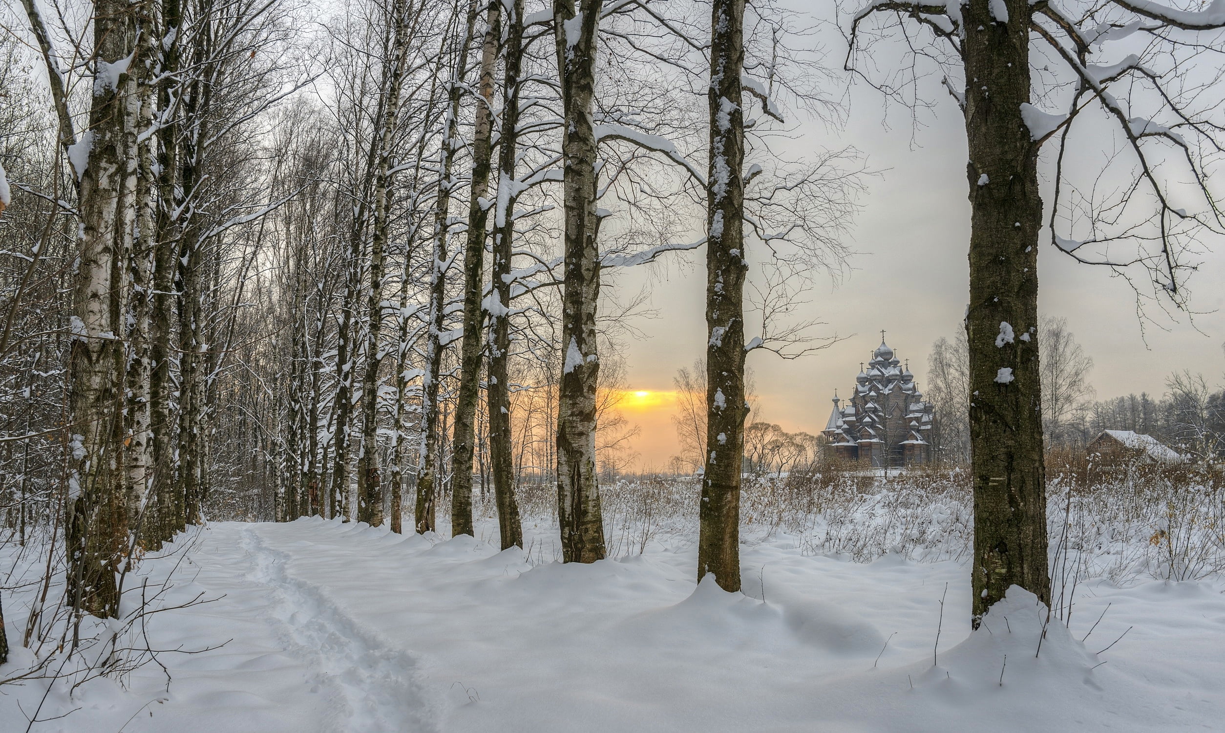 tree, plant, forest, landscape, sun, non-urban scene, snowing, snow, 1080P, bare tree, cold temperature, no people, Russia, land, beauty in nature, outdoors, HD Wallpaper