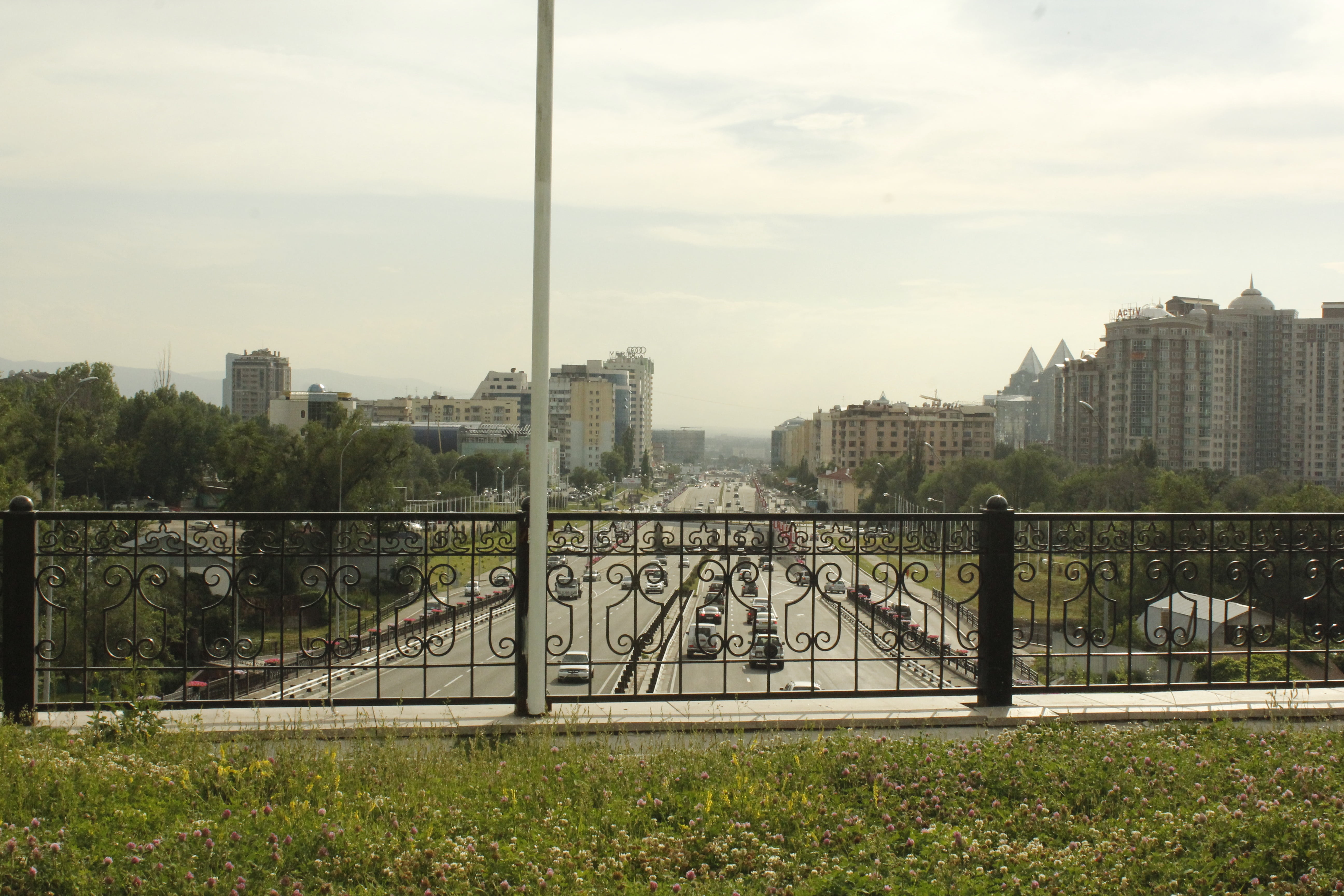 plant, bridge, east irkutsk ring, architecture, 5K, cityscape, al-farabi kazakh national university, building, water, building exterior, railing, travel destinations, HD Wallpaper