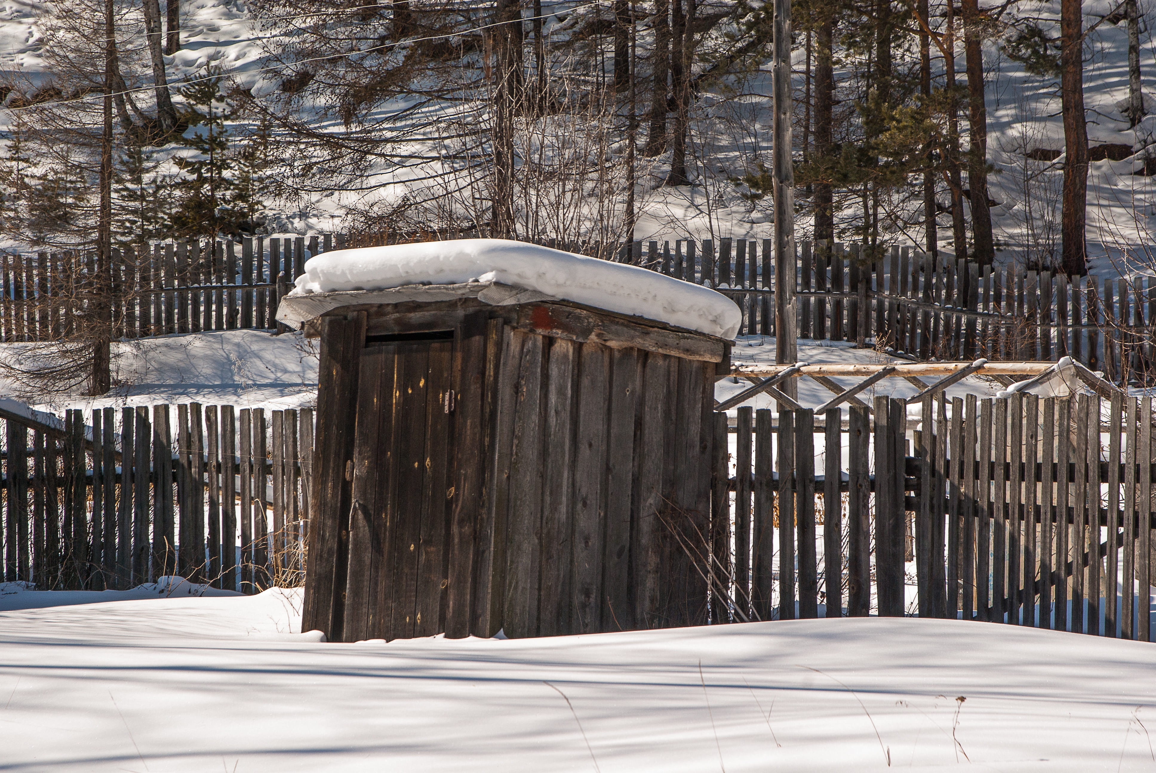 wood - material, nature, closing, architecture, building exterior, no people, winter, cabin, tree, plant, irkutsk, 4K, built structure, tranquility, day, HD Wallpaper