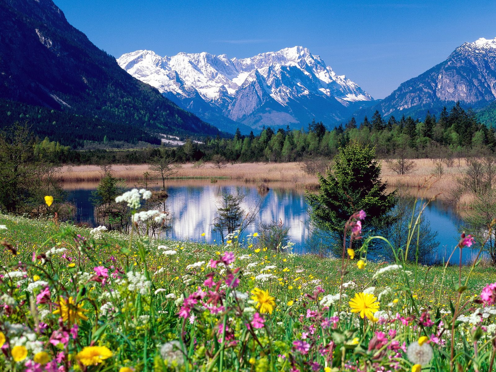 Loisach, River, Germany, 720P, HD Wallpaper